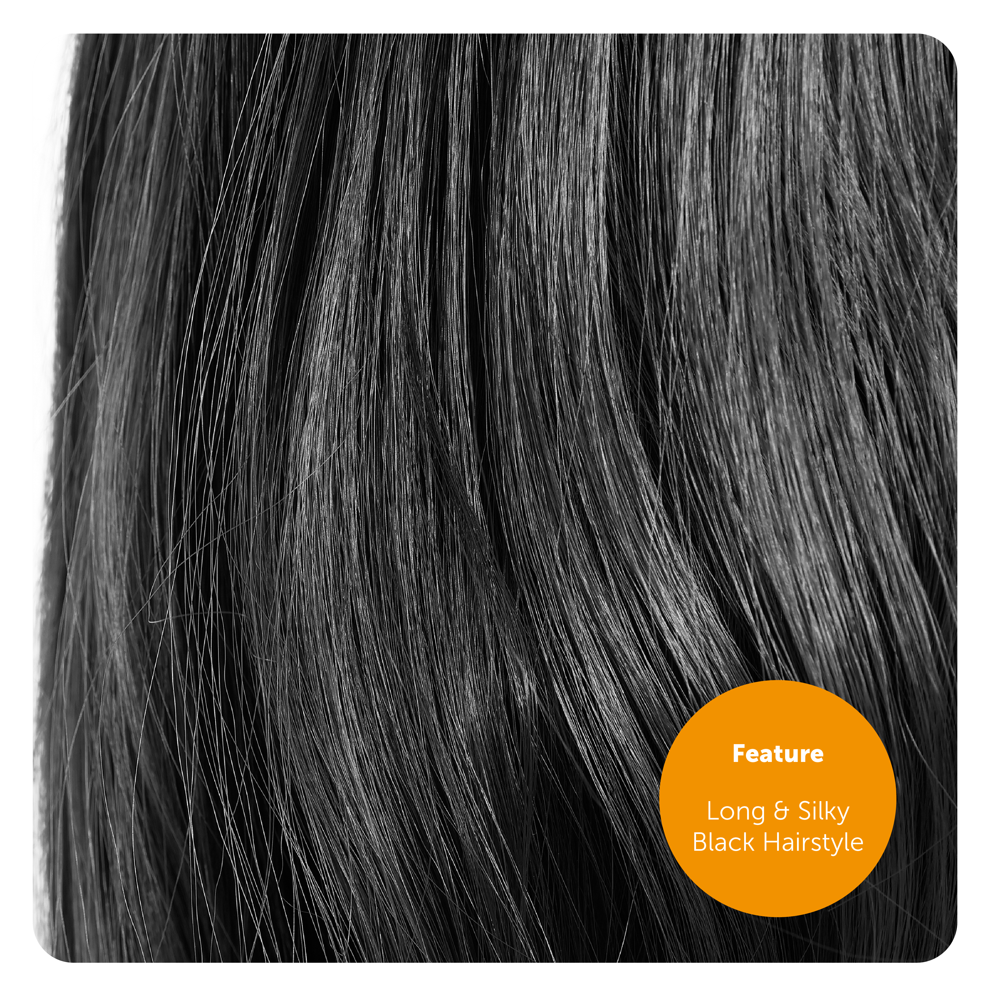 6b5eadbd-7416-4377-9e9d-1bd155fa55af (1)