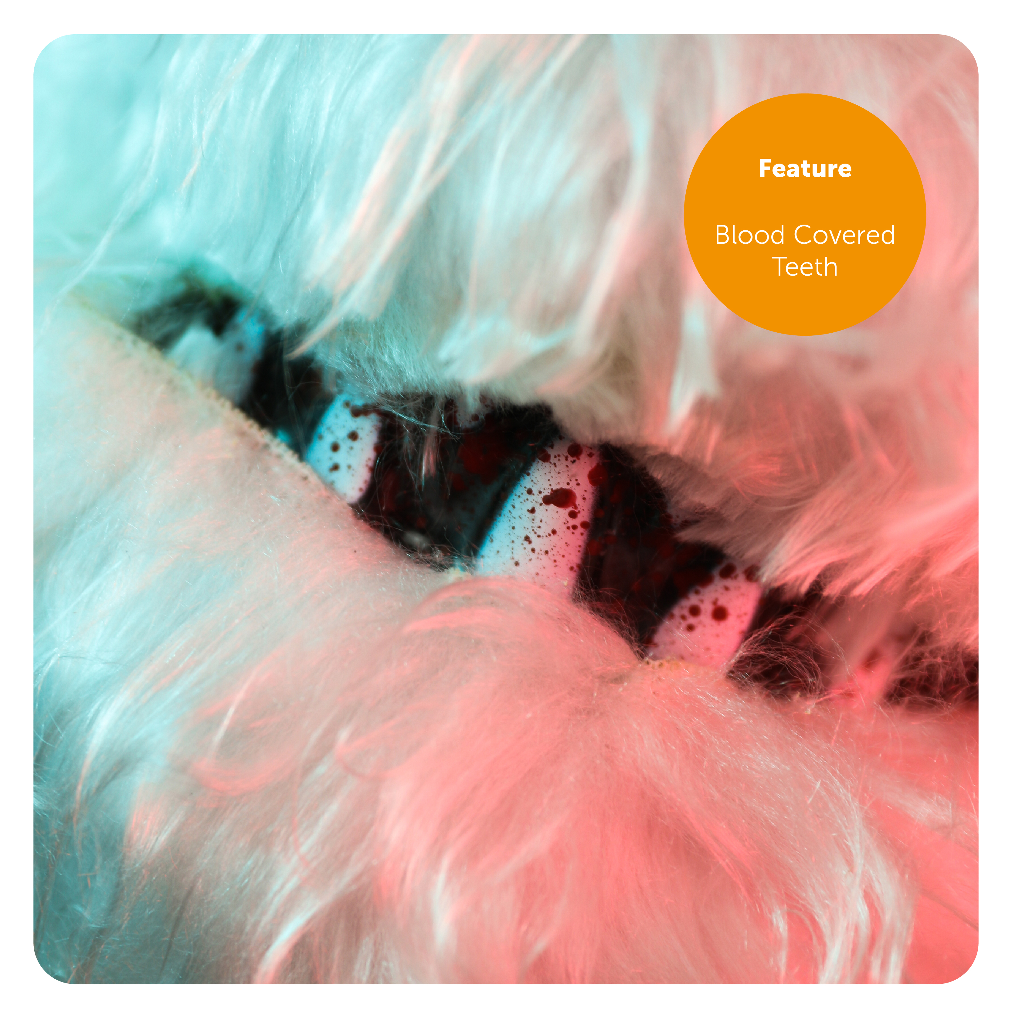 4d49f69d-6fea-4baf-9b10-fdf97b053ccf