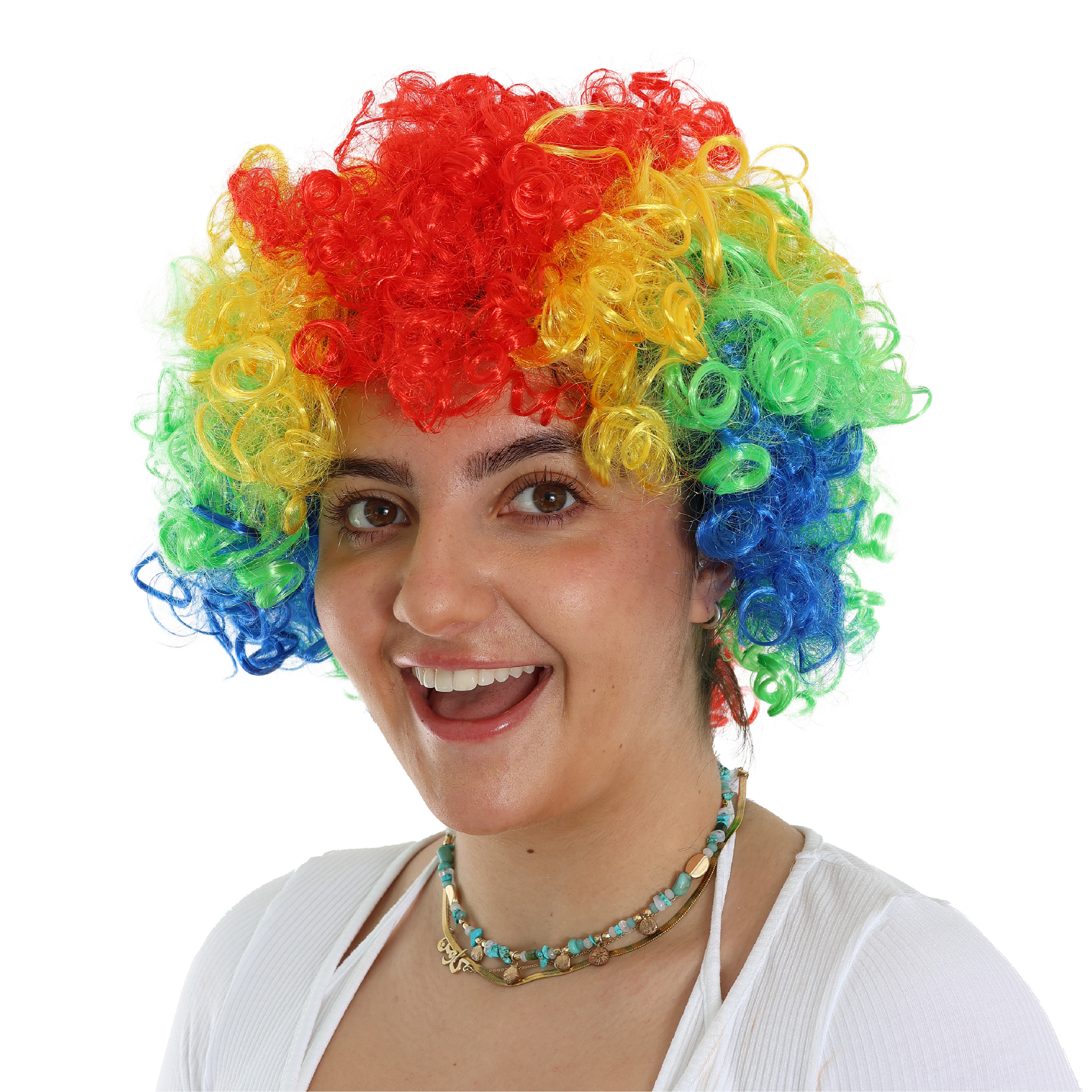 Multi-Coloured Rainbow Afro Wig