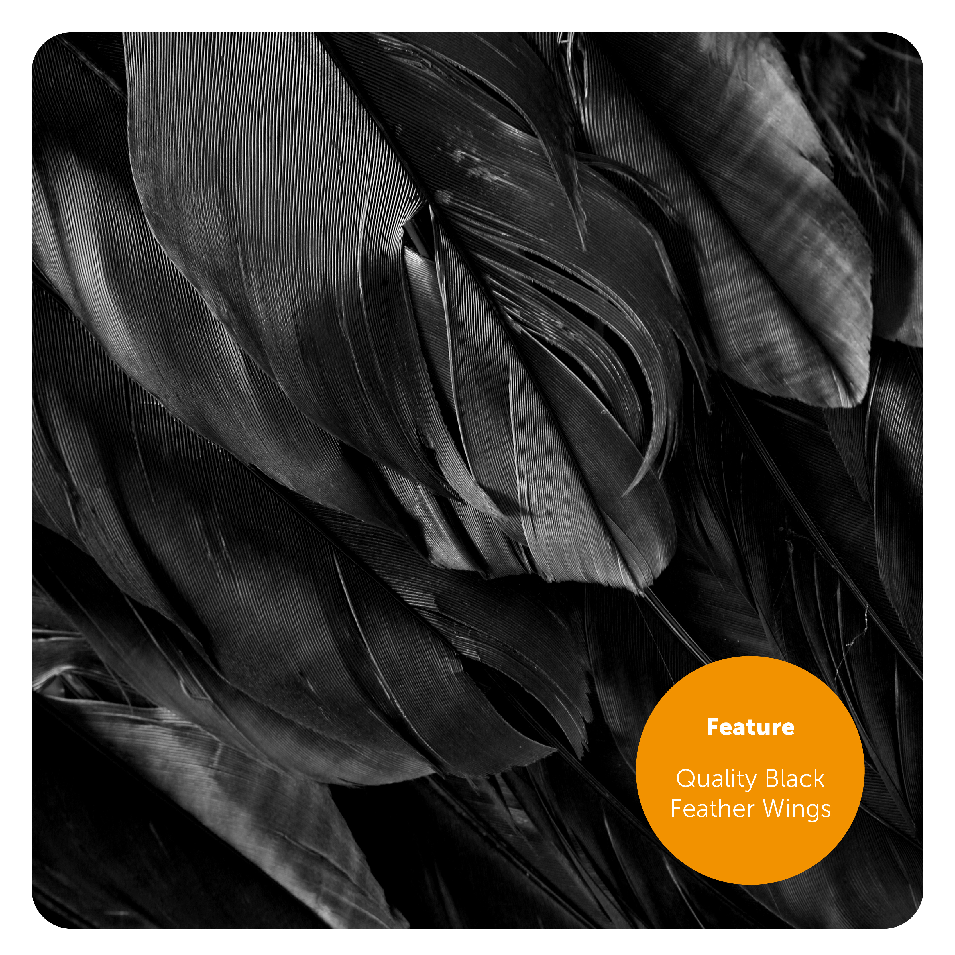 c92c8076-a270-40e7-9082-d42afaab6727