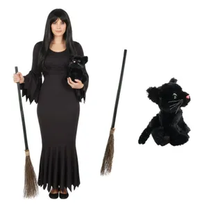 Ladies Hooky Witch Costume | 3 Pcs | Dress, Broom & Cat Toy