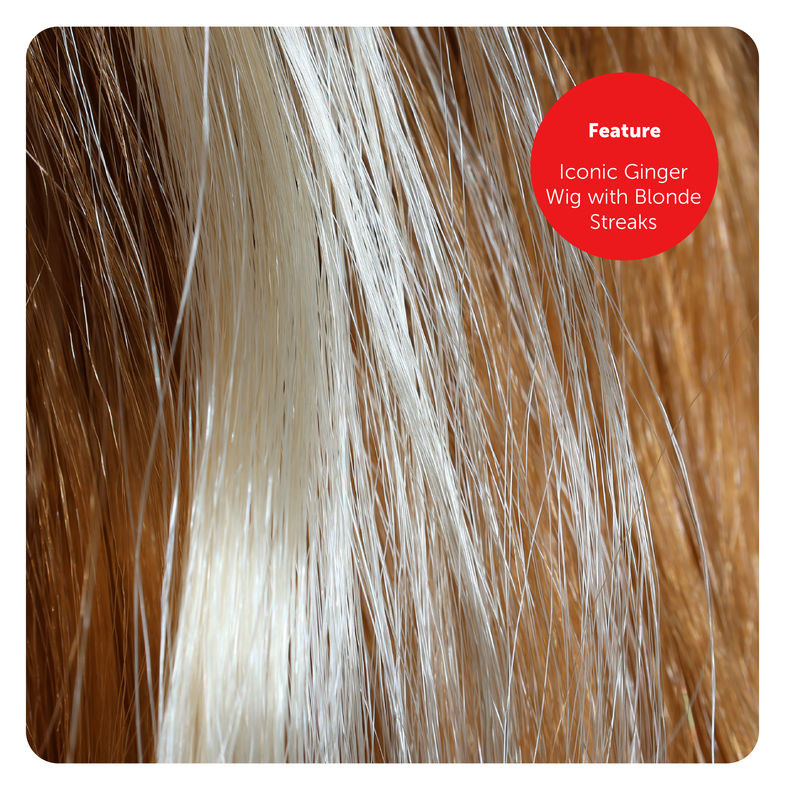 8af3d0b3-f65f-4800-b6ef-d76212449d8e