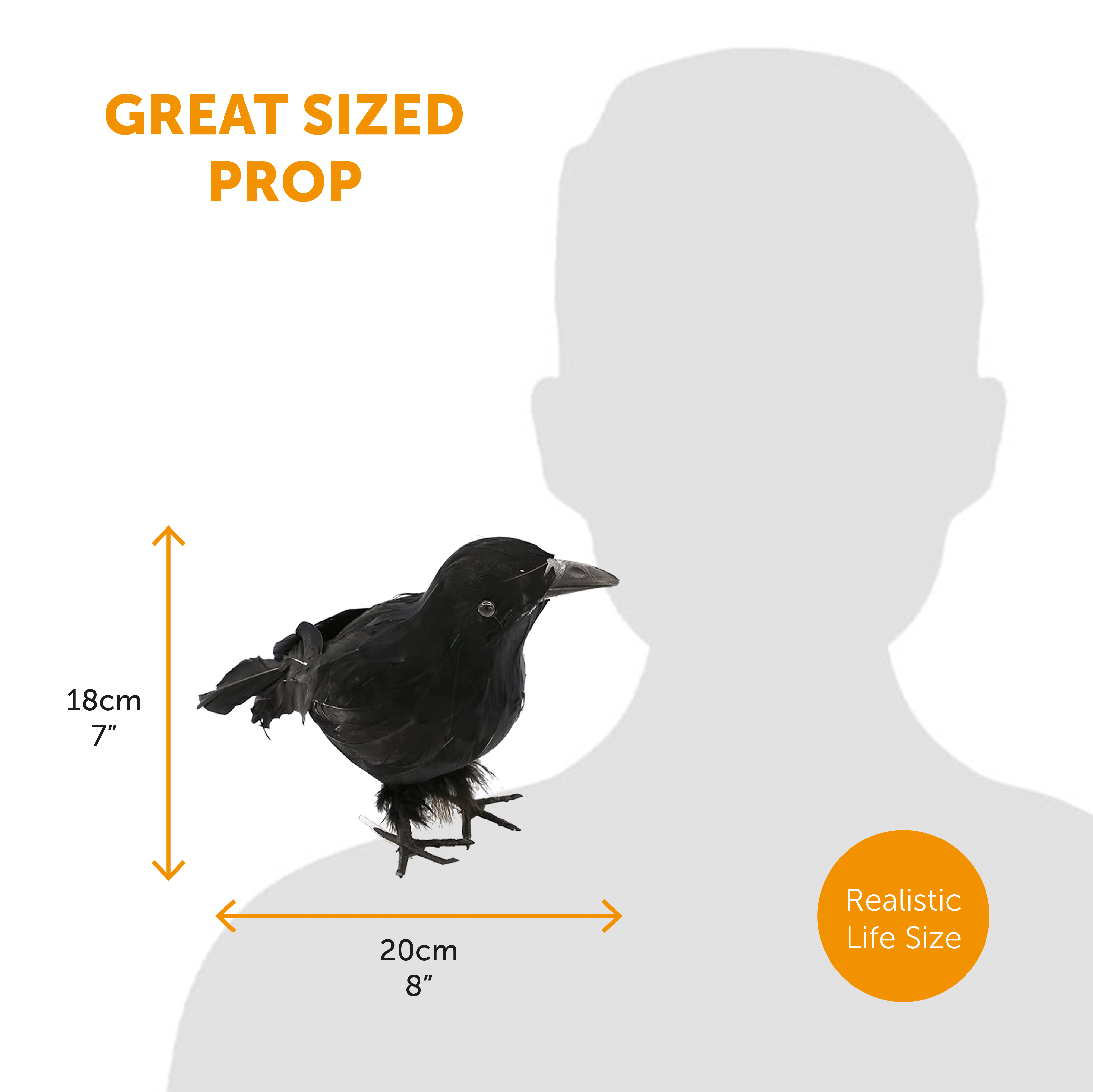 ILFD-THECROW-ACC-SET-7