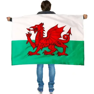 Wales Wearable Flag