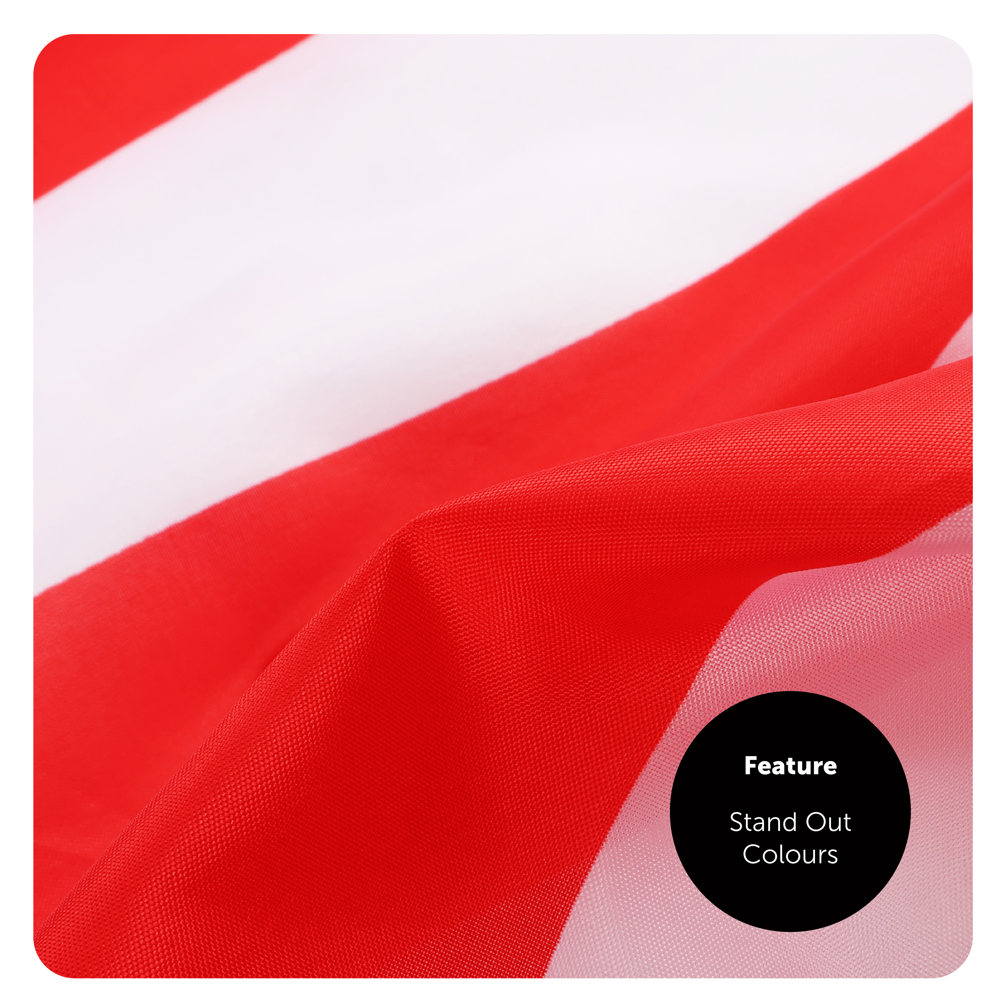 d4179bcd-7313-410d-91e8-9d3c71cb7f35