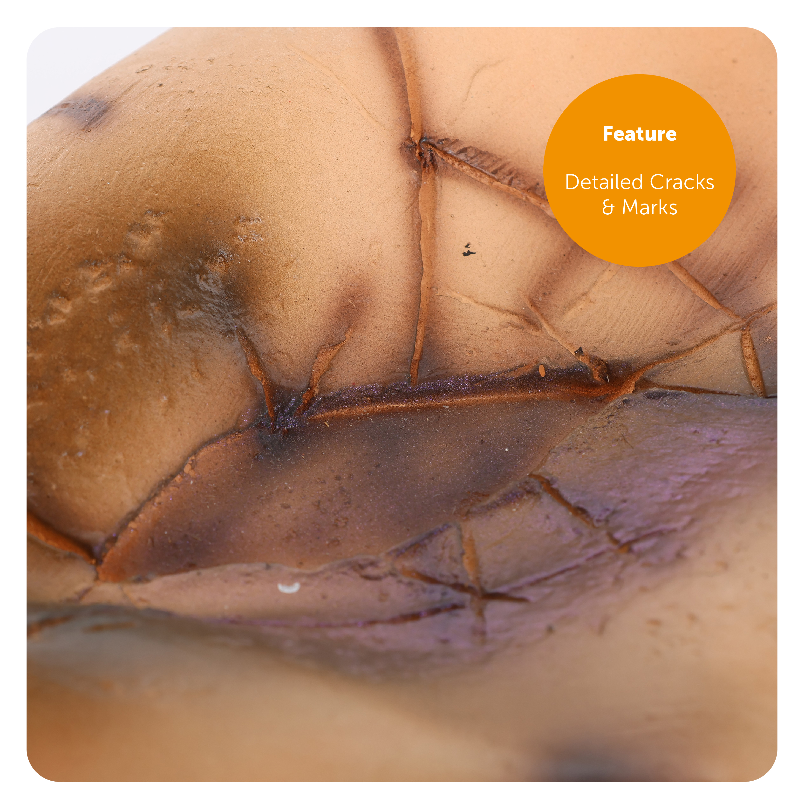 695ab440-4ef3-4031-9df8-3a15b6bd4147