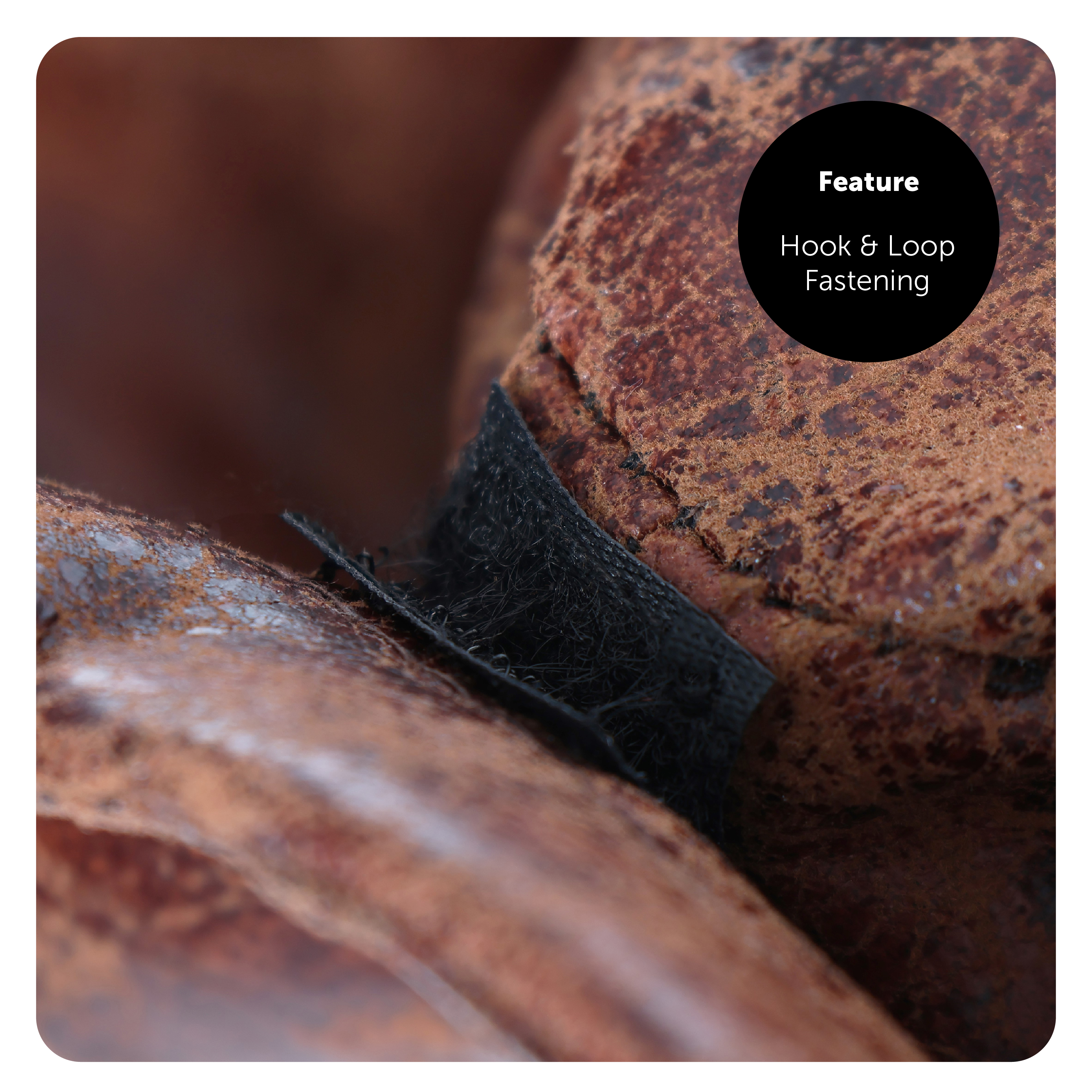 31d2fb59-7d3e-4e25-94bb-621225b09825 (1)