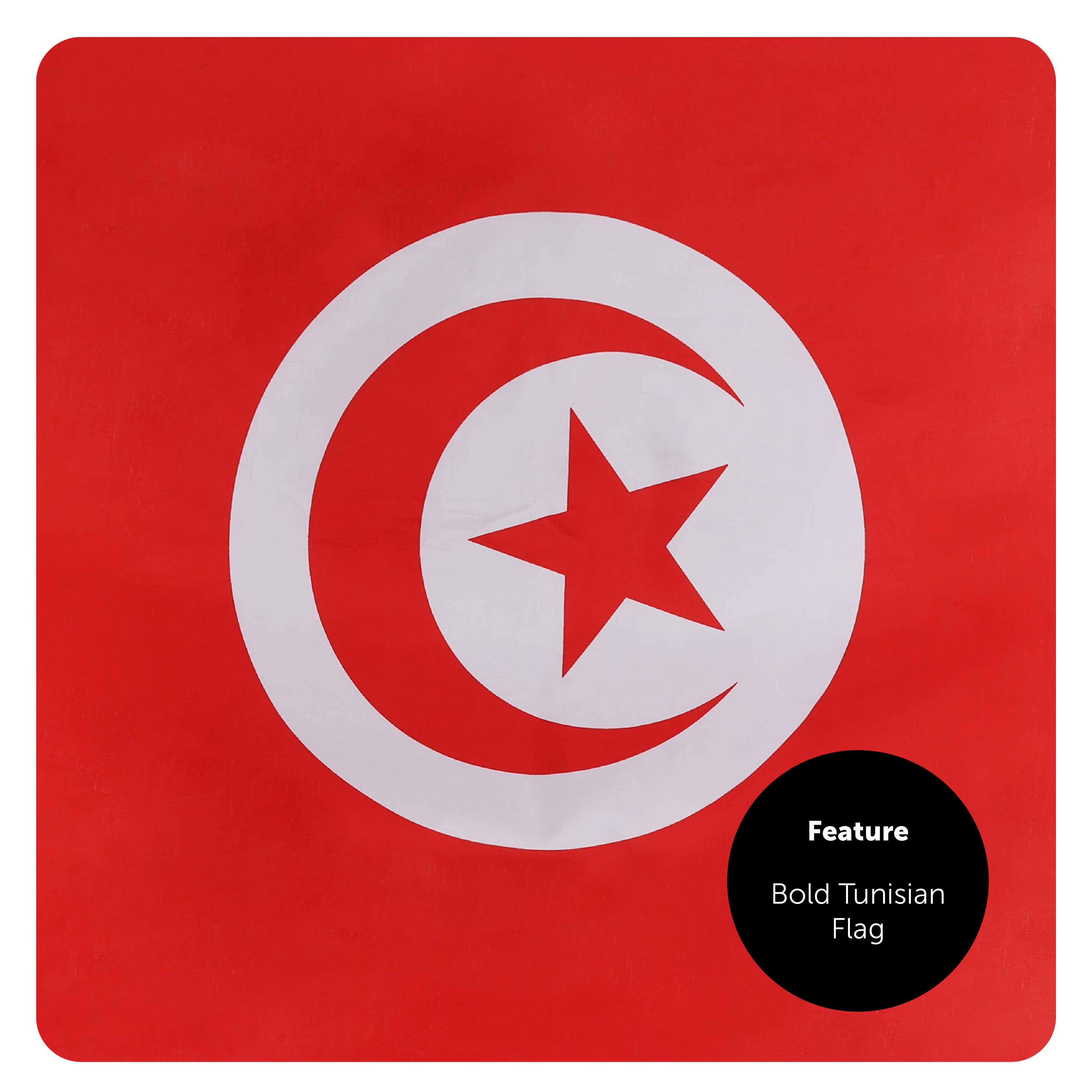 145e176e-9fb2-404a-b962-a7abb931e255