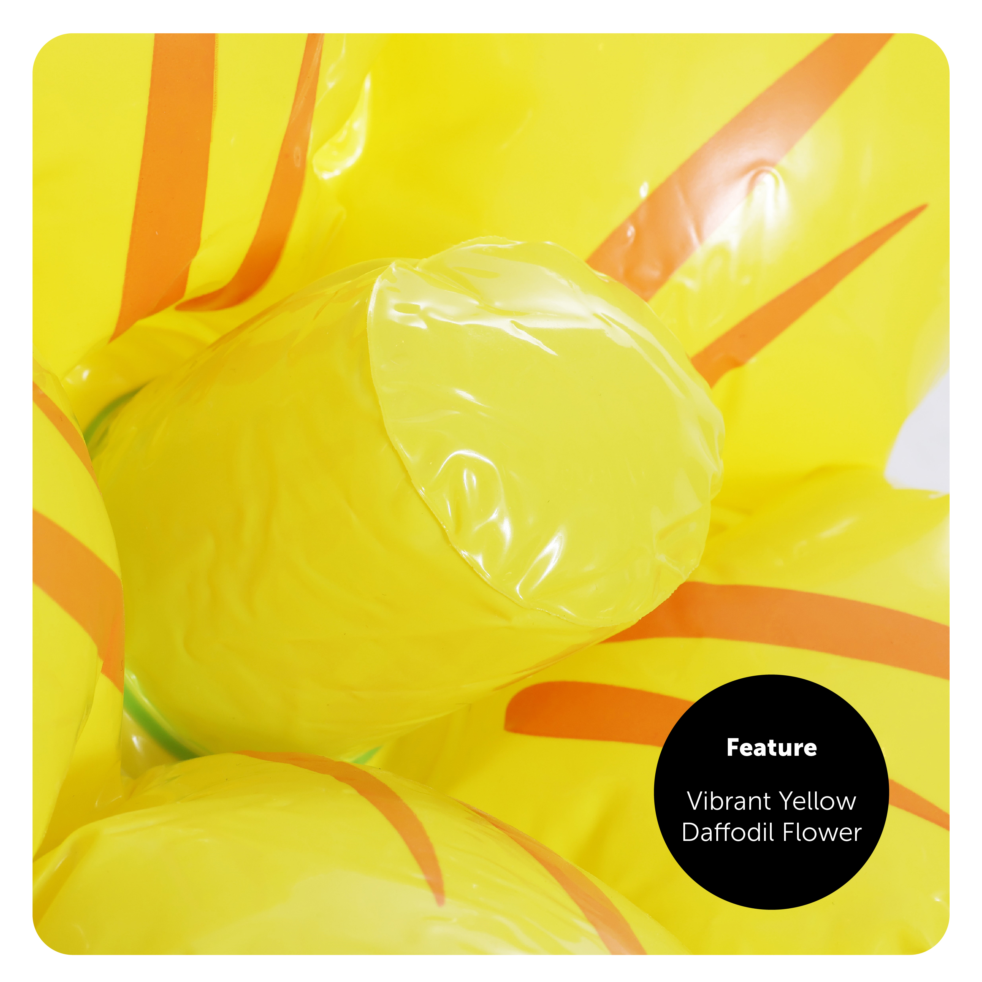 563b0ff8-501c-4faa-bd94-abf4448af854