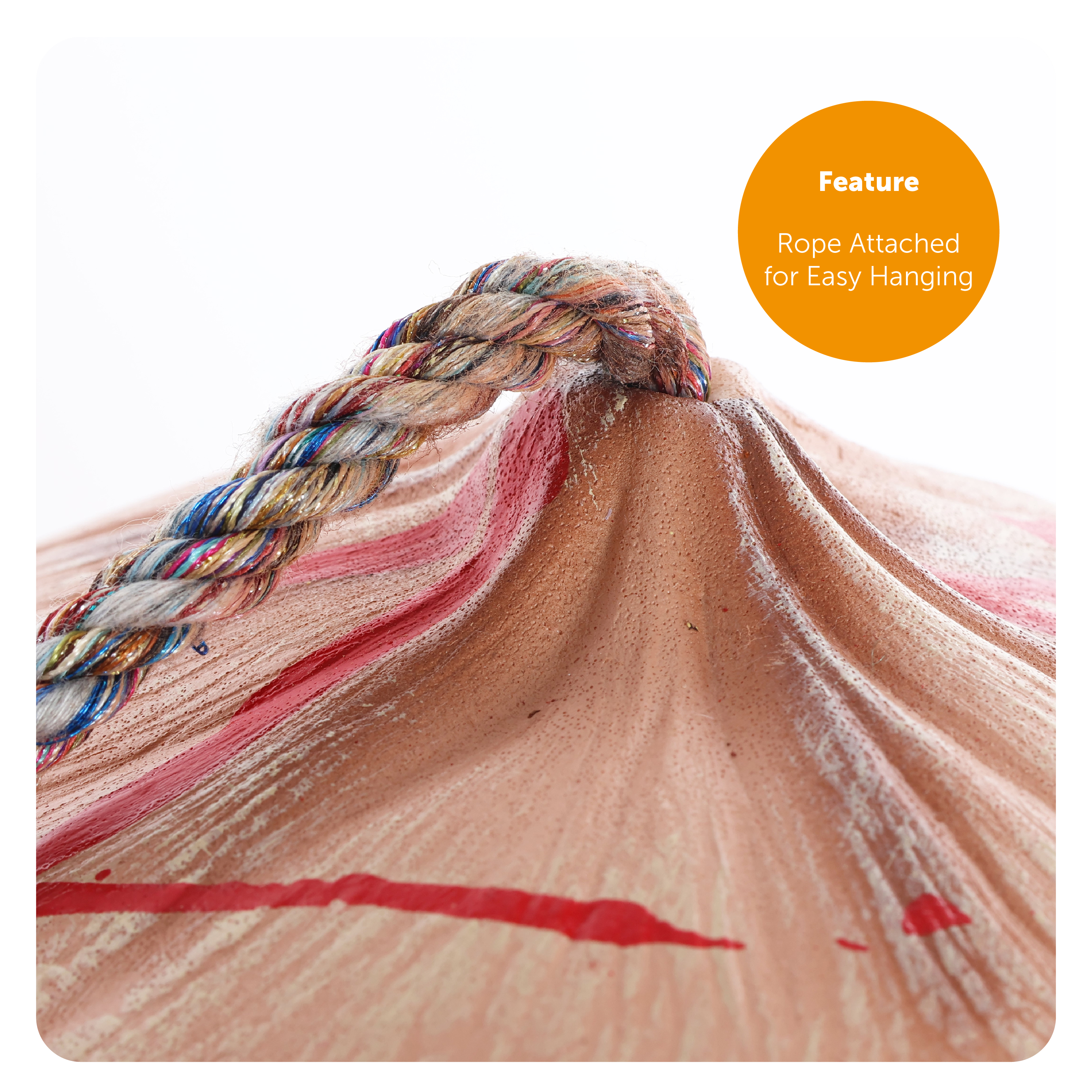 b0058bda-9505-452b-9267-a001f86fae10