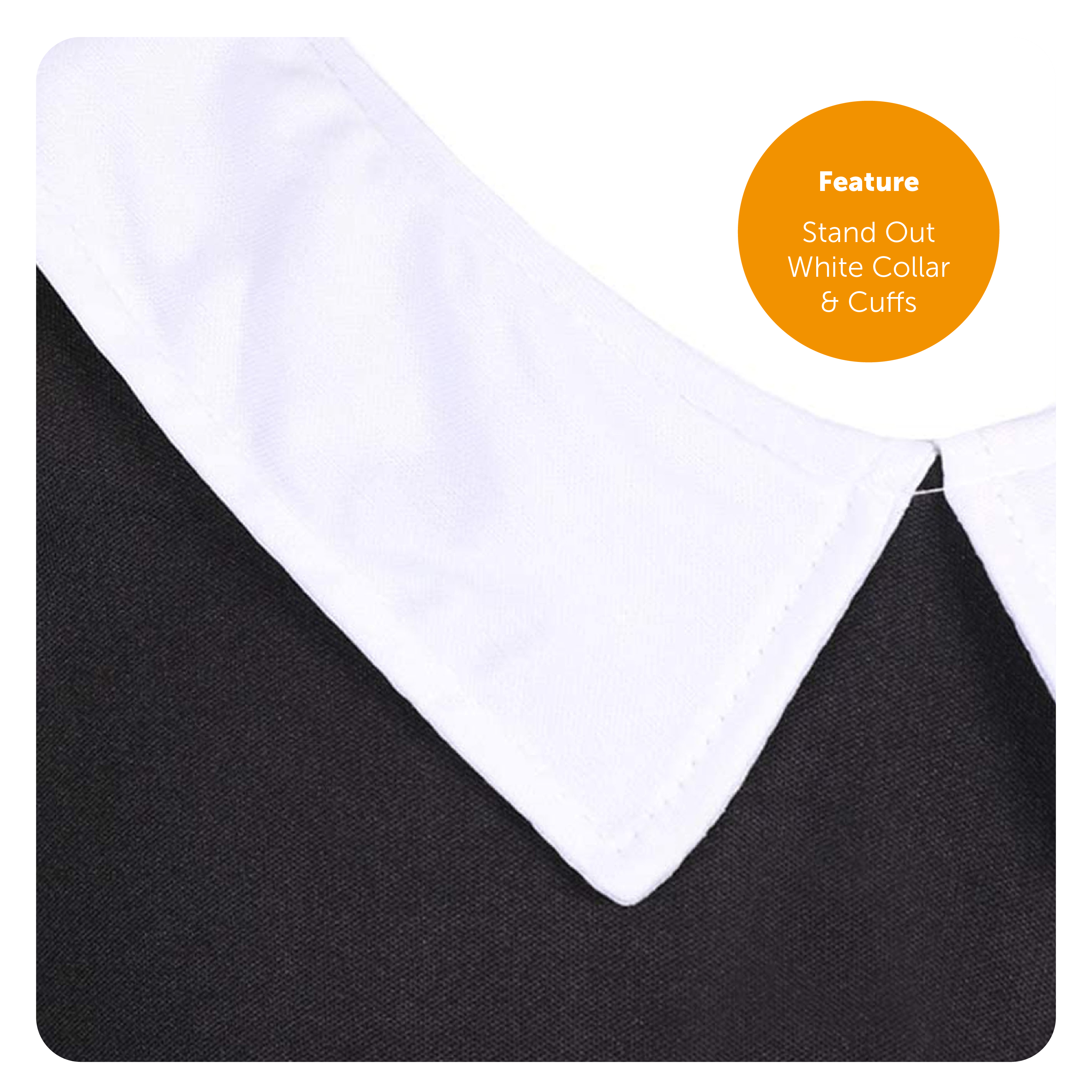 8e04c550-b8c1-4578-a4fe-8f049d392602