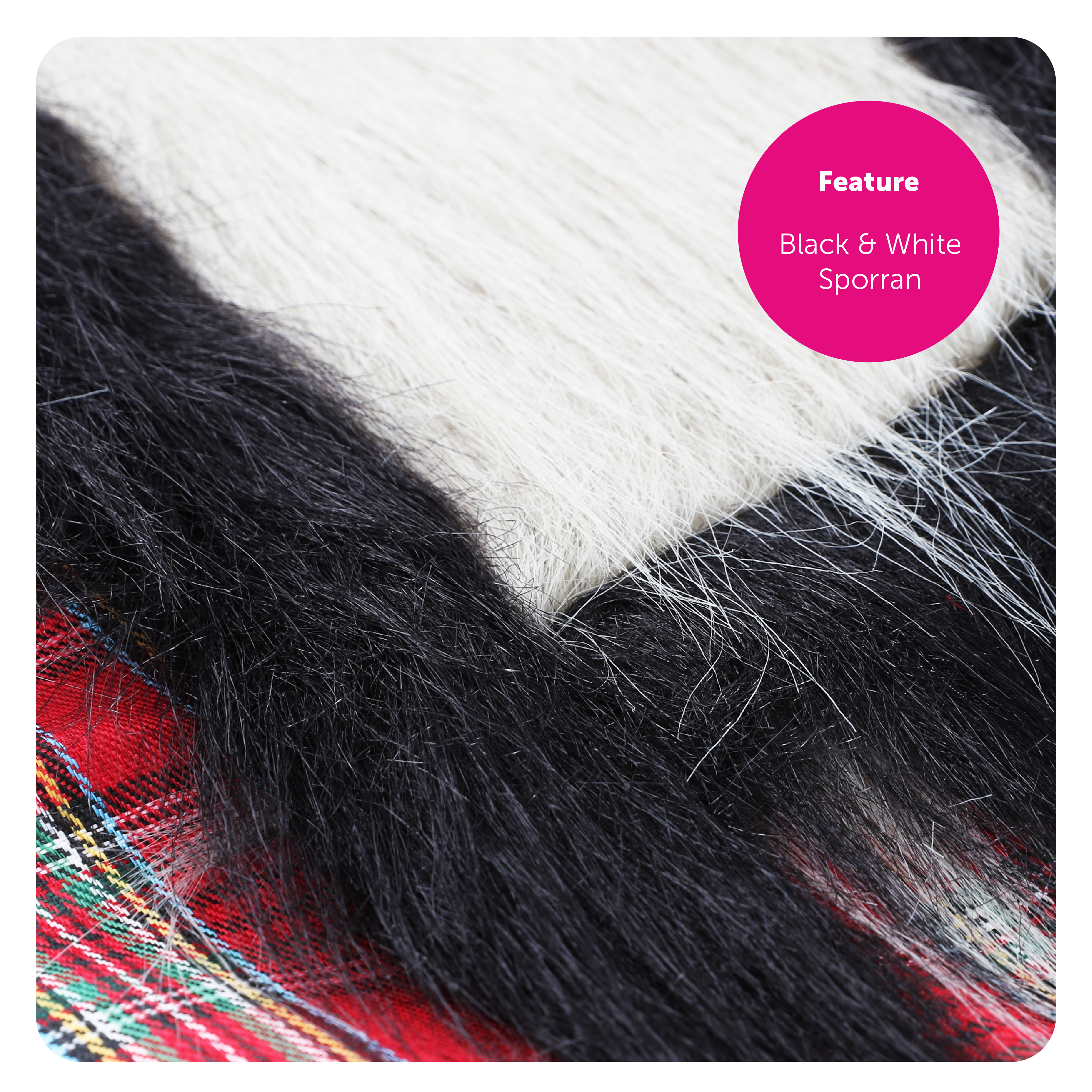 9524b802-ac67-4501-bffe-5a43e23e15e0