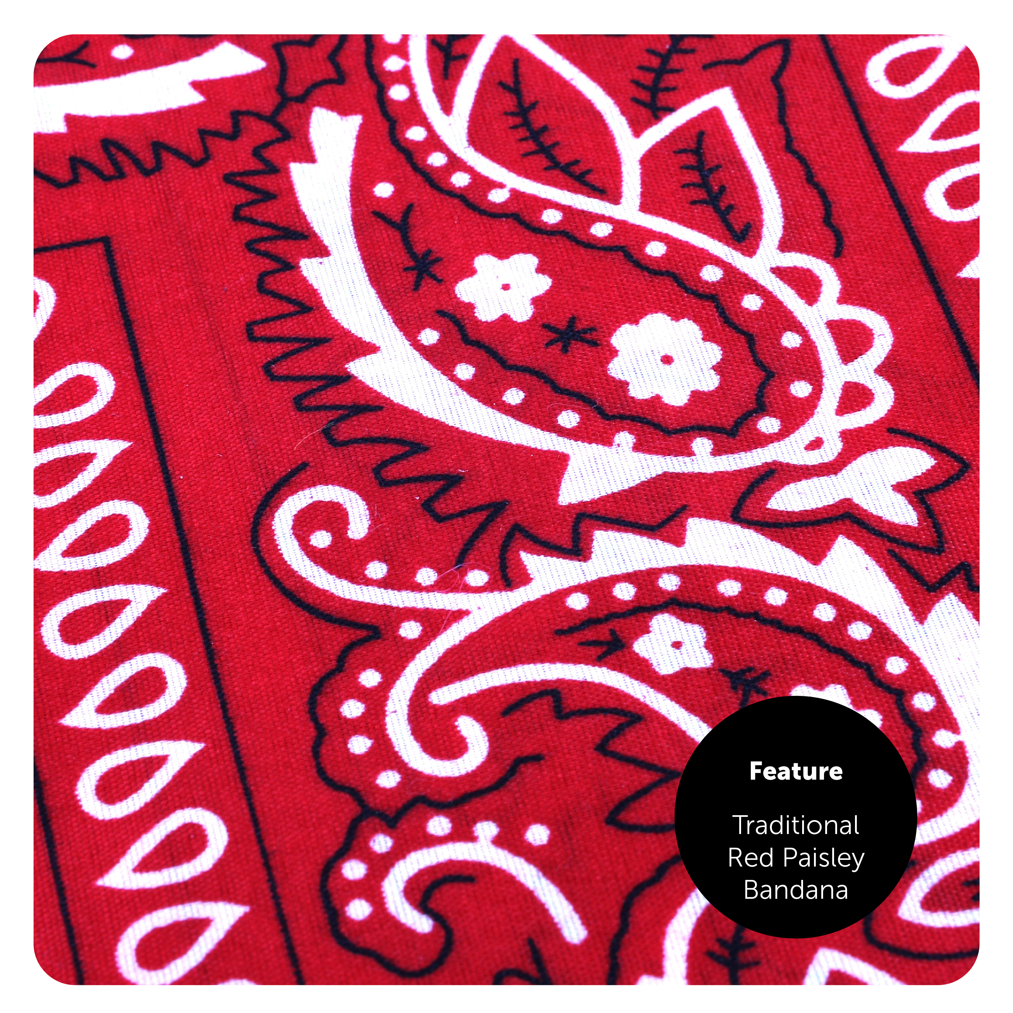 cb6e9253-08d8-4fd0-843b-97af616f0456