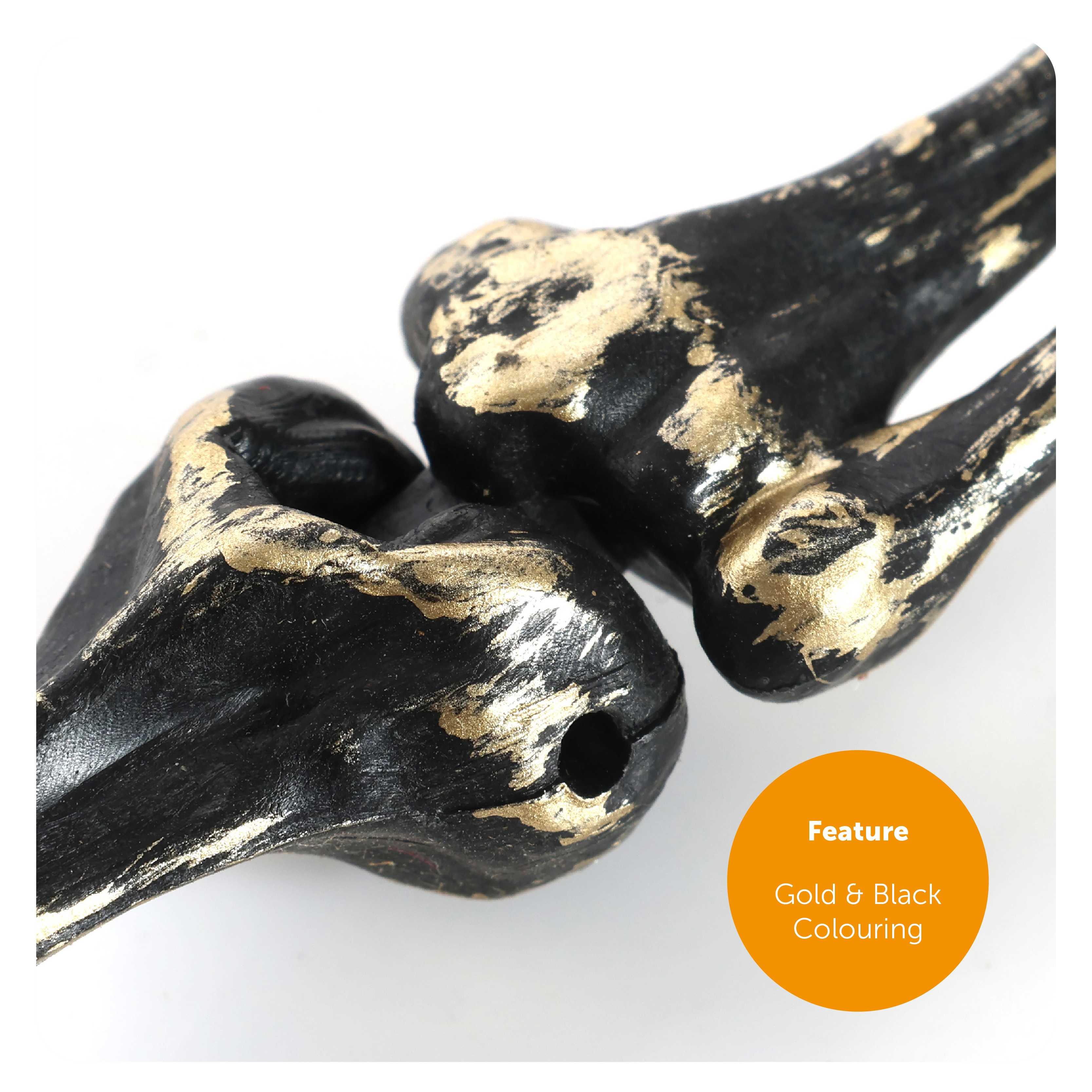 b858bc0b-e792-4ff3-9080-ca7fd101886b