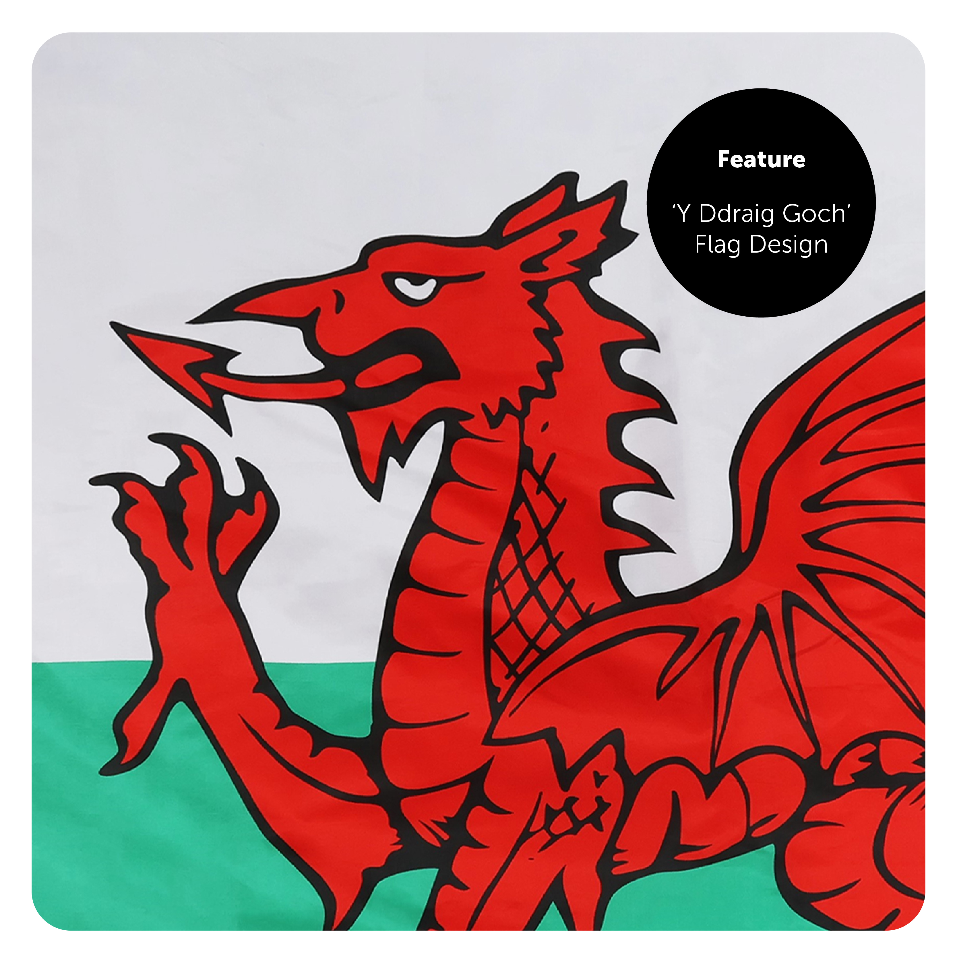 5c3af0bc-36d5-41e8-aab5-7affcf465bb3 (1)