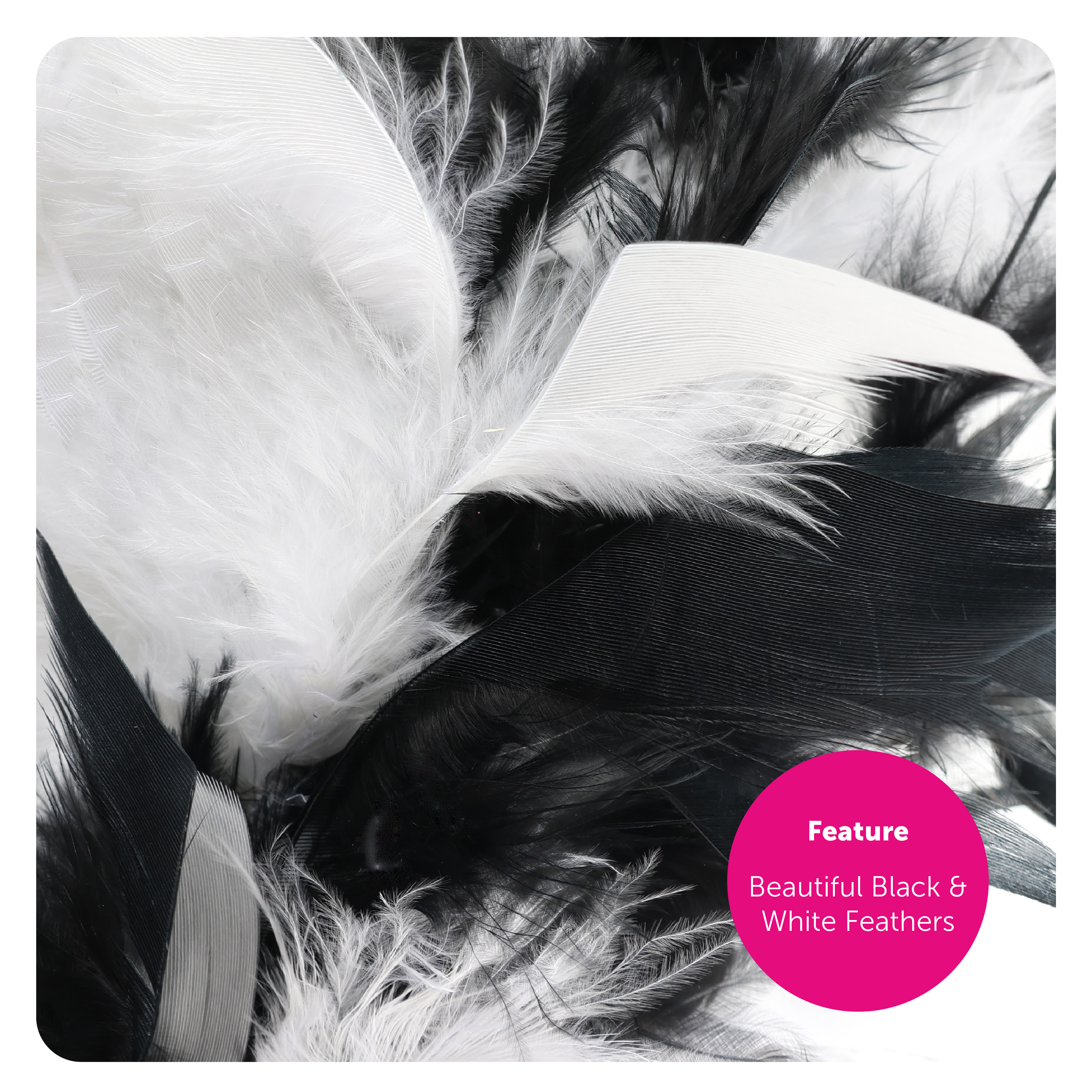 162a6582-6021-4a7d-9b3d-f82e54bd3f3f (1)