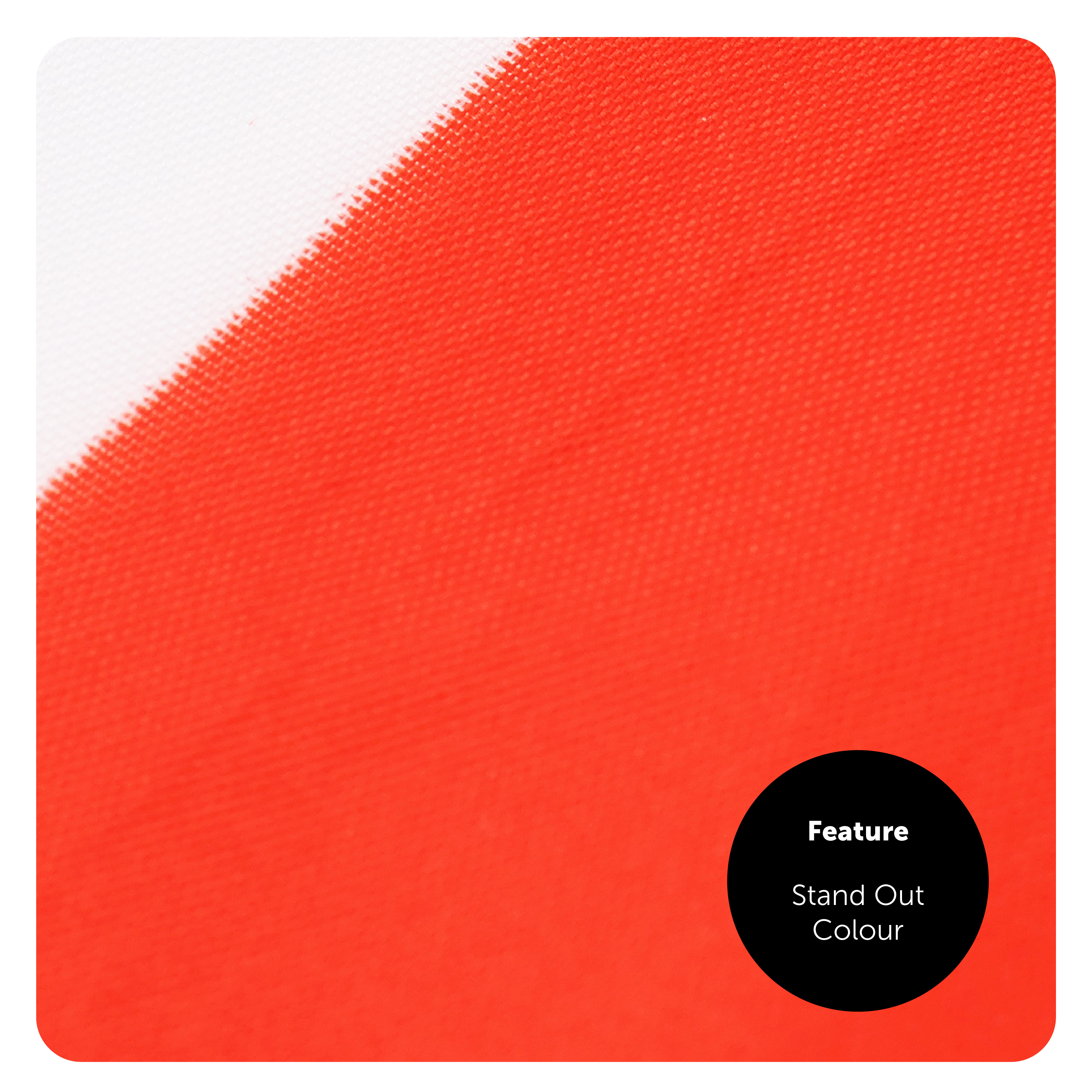 941eff1b-f5b0-42e4-b79a-abdc7b436efc (1)