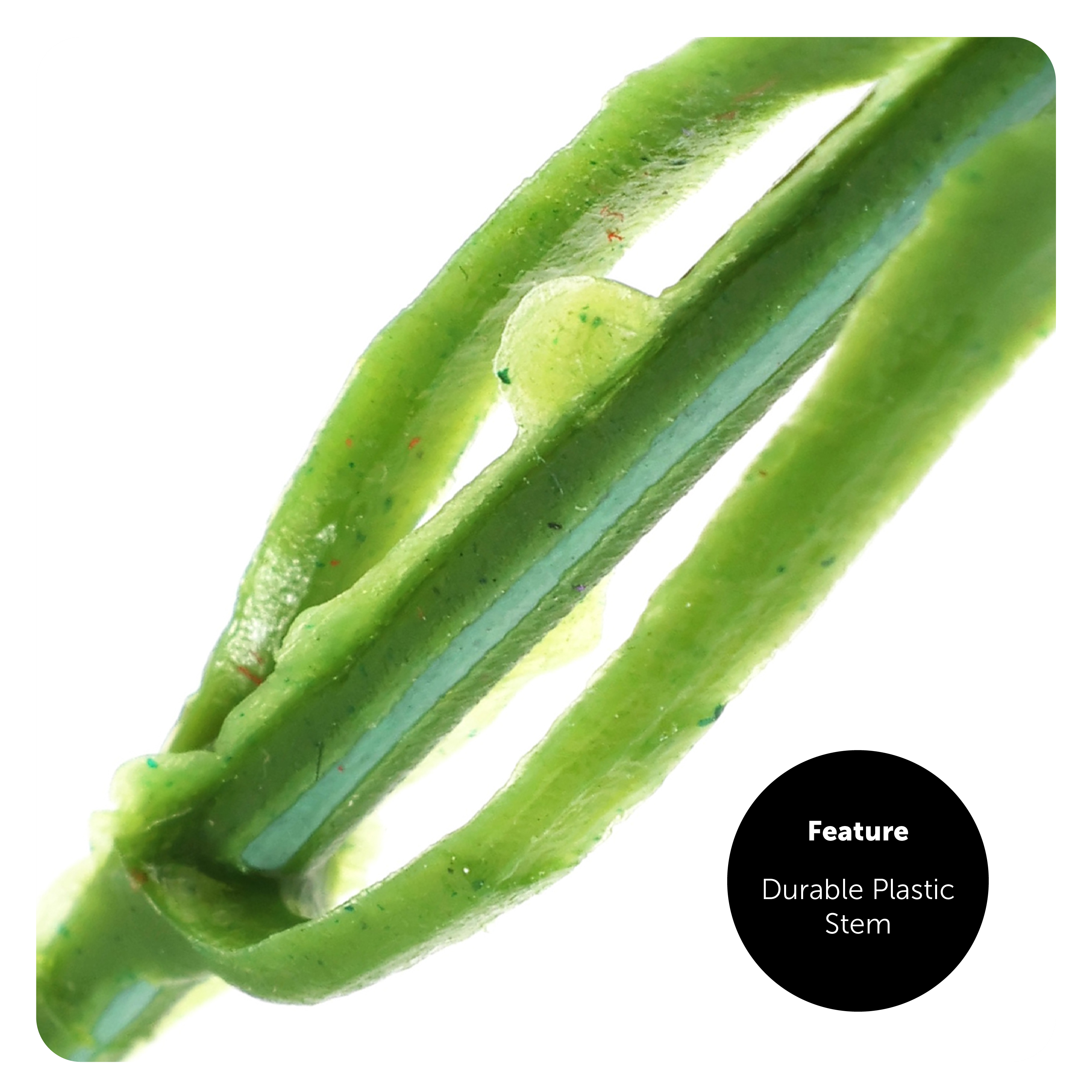 a66b8d27-f231-47e0-bdc6-47ae5f97c186 (1)