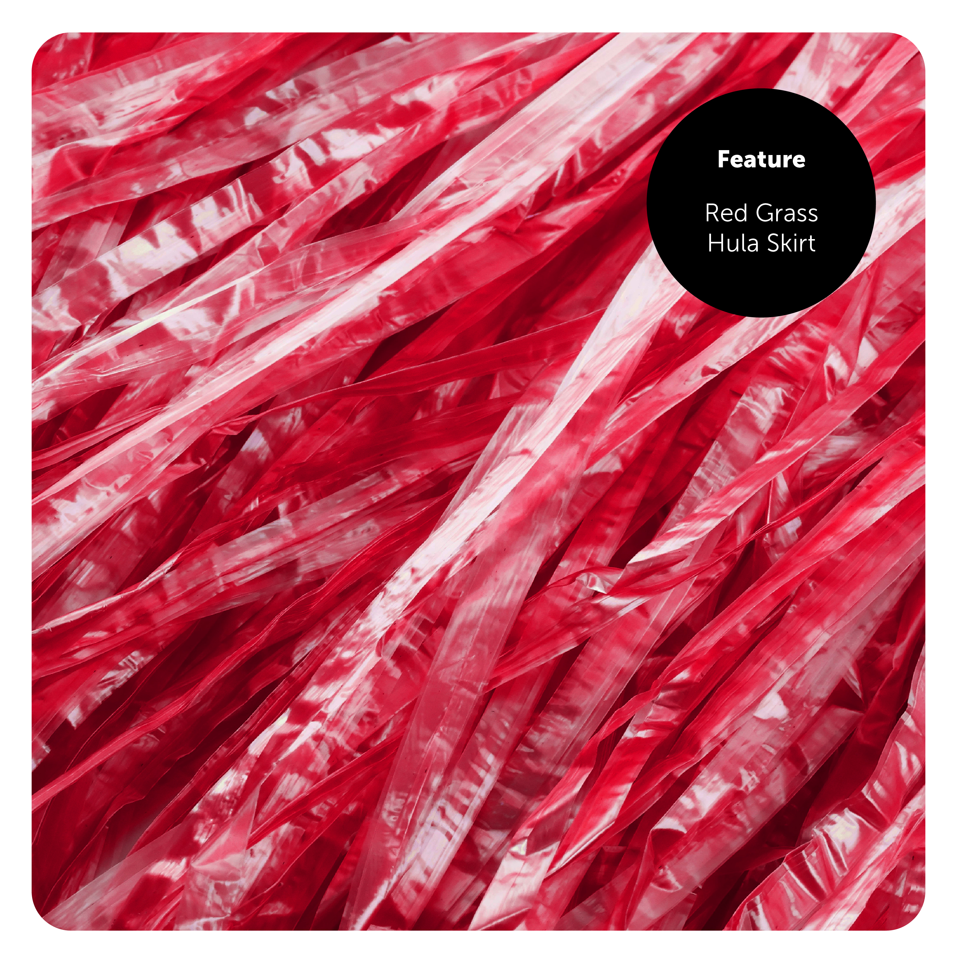 81b7d64b-4212-4e7a-b9d4-28cd5f220a2d (1)