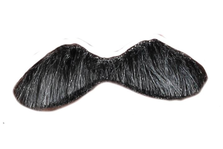 d8b6b6ca-cc60-4bd4-a446-0c04129b (1)