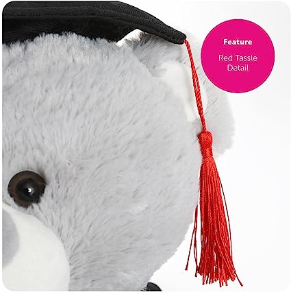 61y0E78VlfL._AC_SX425_