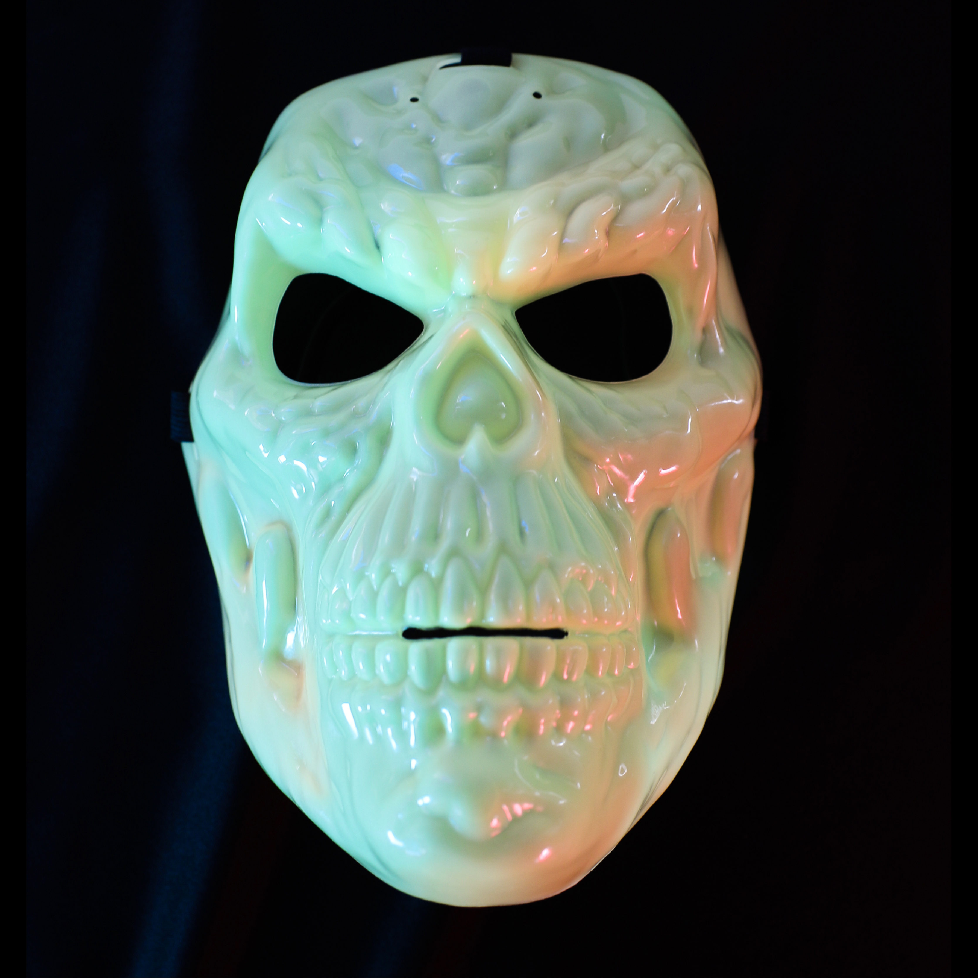 Glow in the Dark Skeleton Mask
