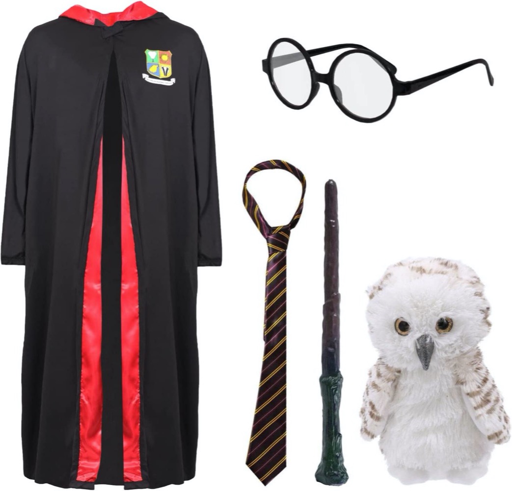 Adults School Wizard Costume