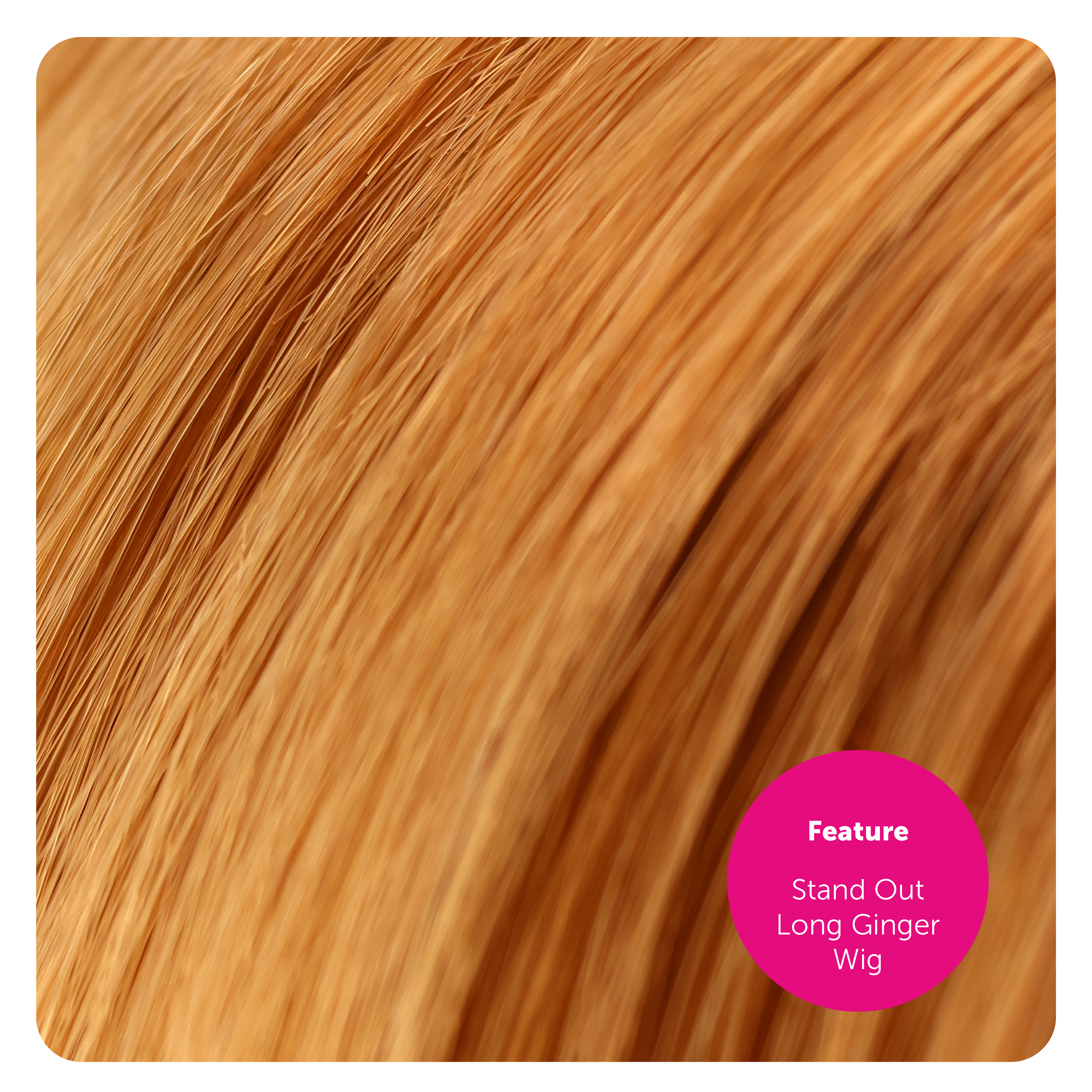 e821efb7-5293-4247-bec2-212b3313d899