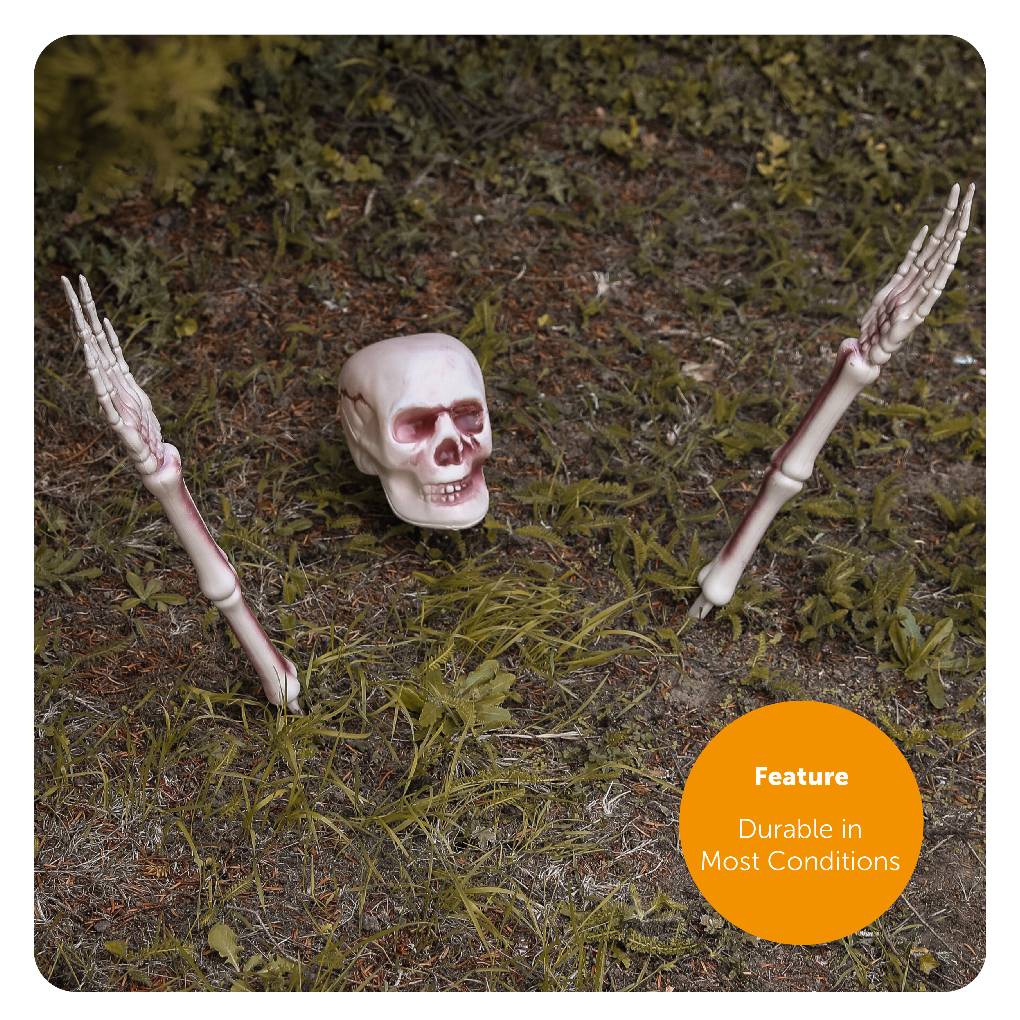 d1c2ee04-242b-4459-8d41-7df64e4a0e72