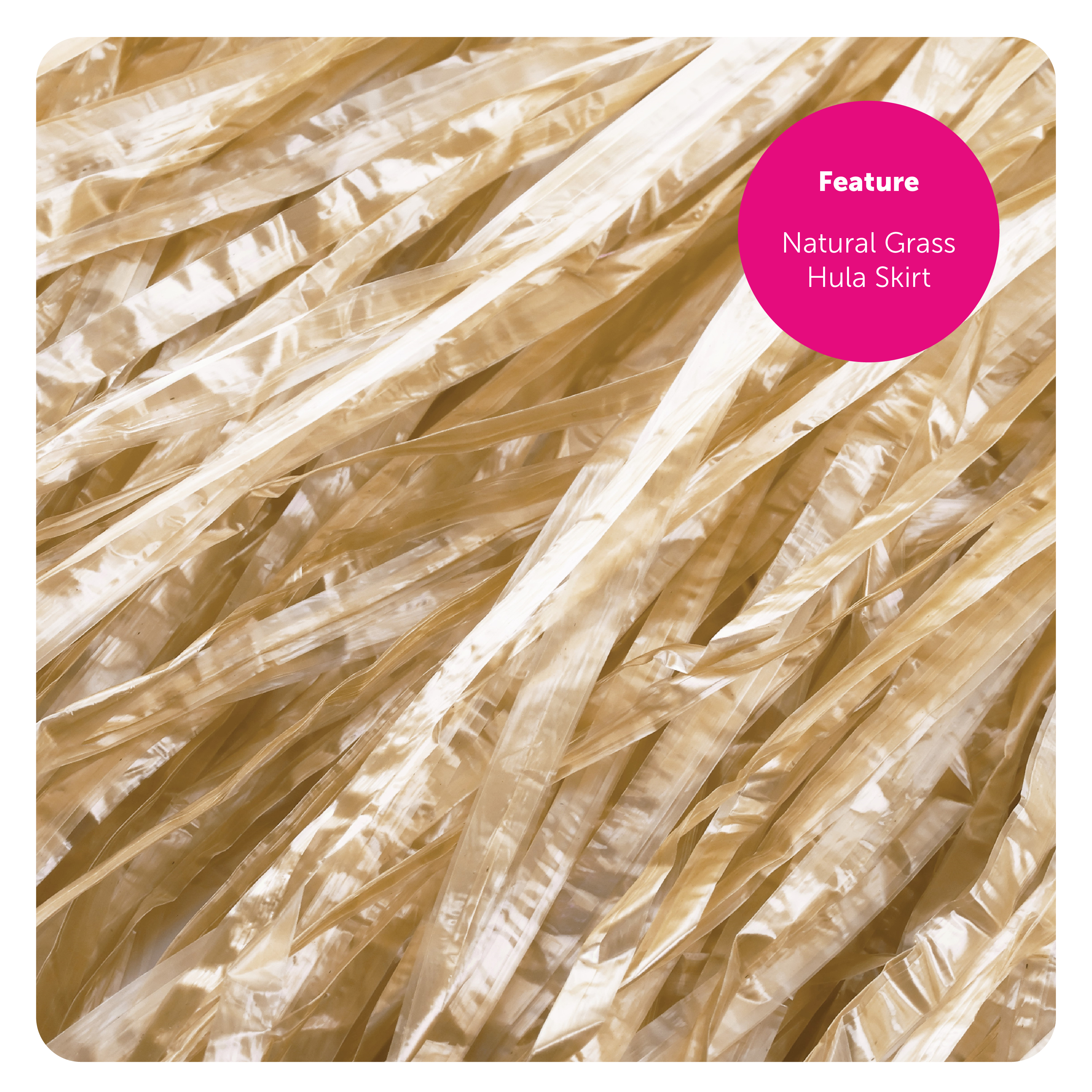 cc1e935c-a827-48a6-b967-0c4ba4c1fa7e (1)