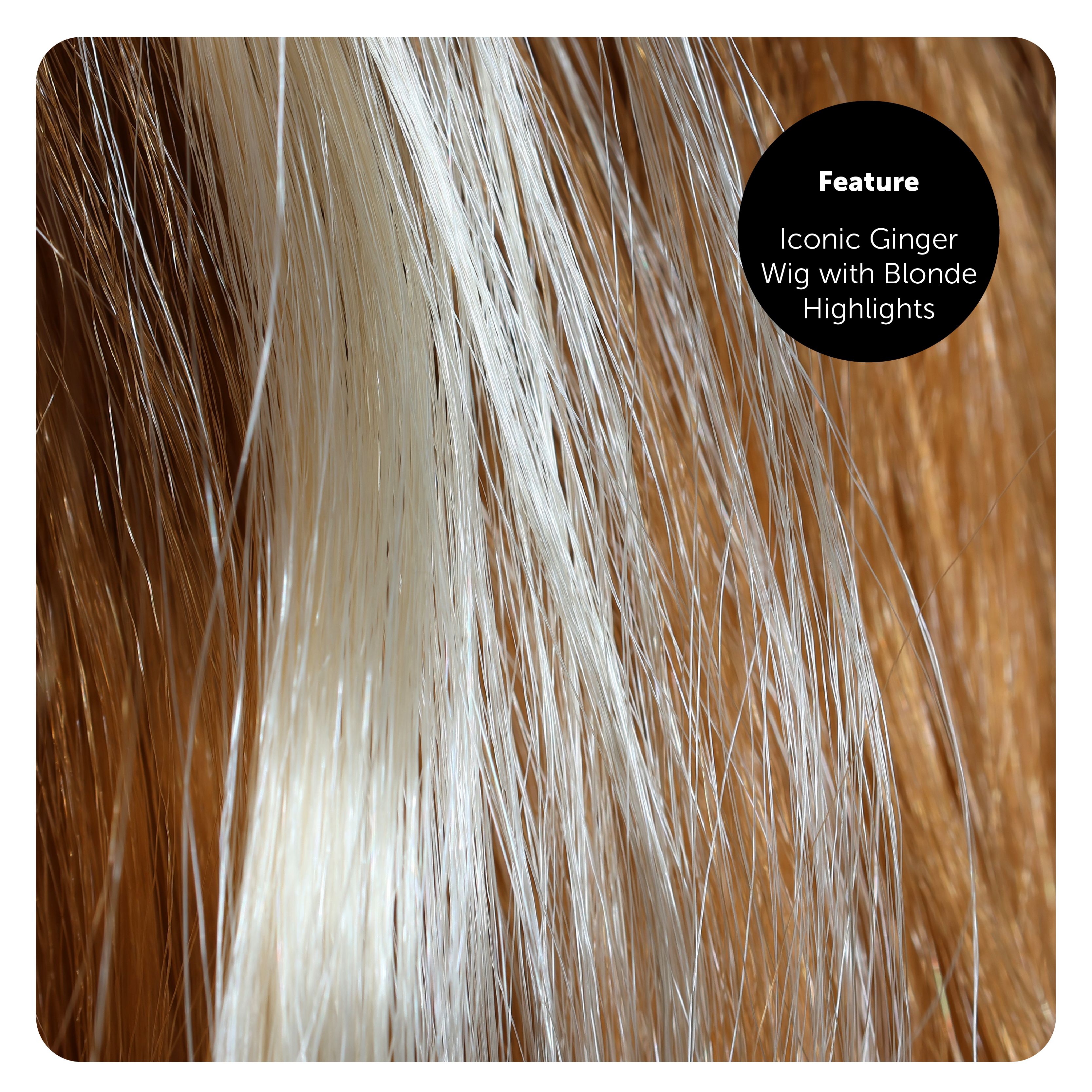 8750ccfc-1060-43ed-ae47-e6f74921854b