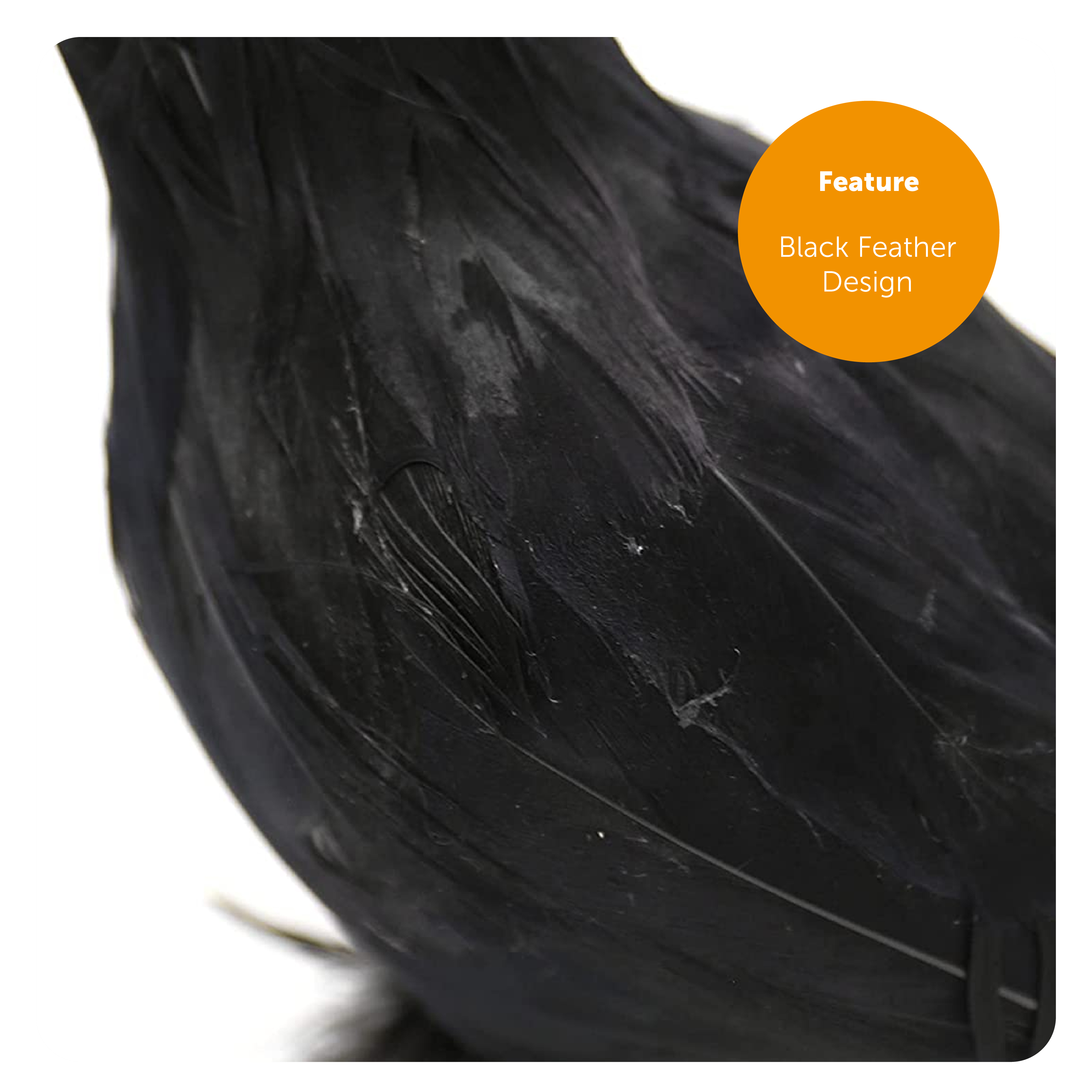 ILFD-THECROW-ACC-SET-3