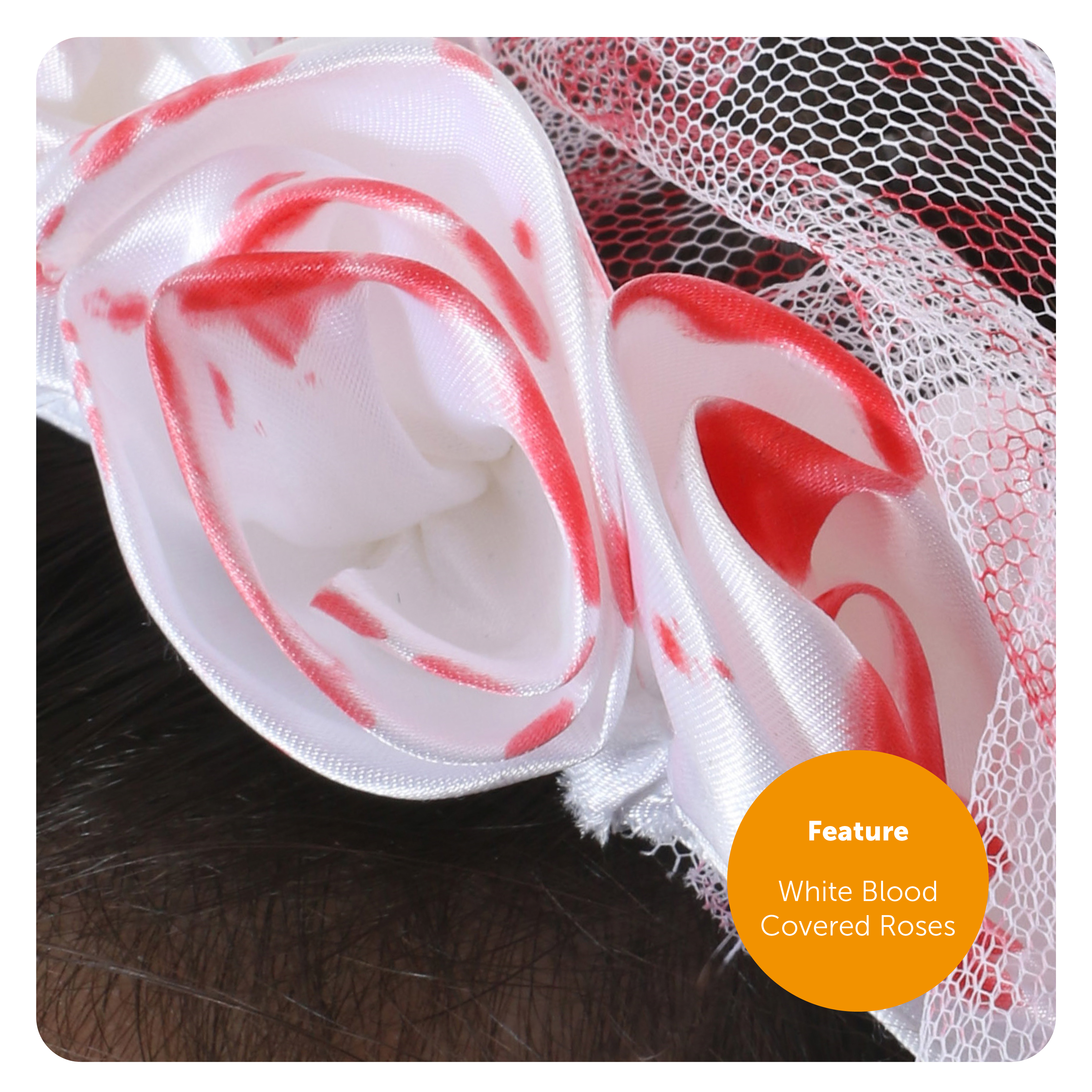 238eaf6e-d142-4853-98d8-d86e788c29d3