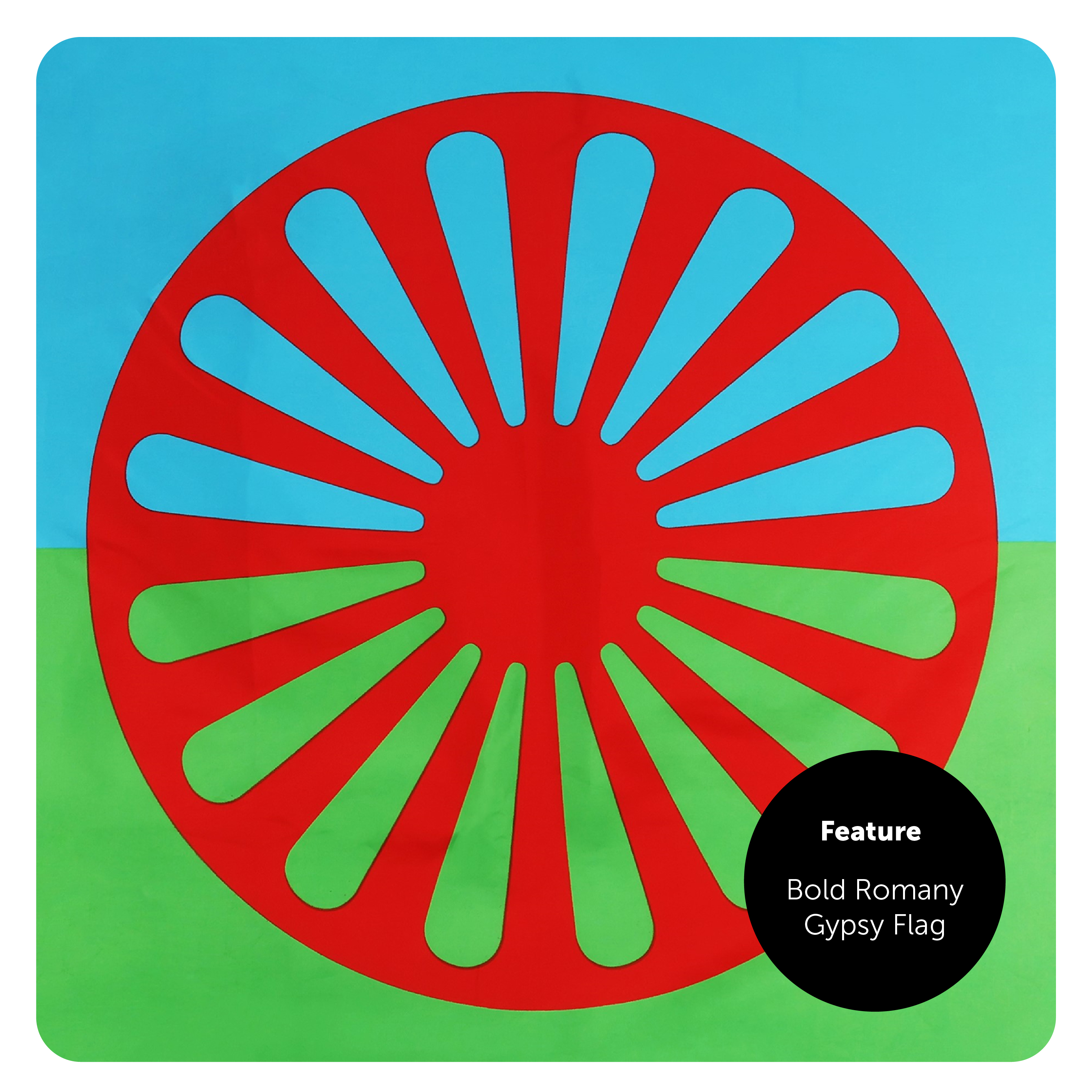 2ddcaf82-c595-4187-ae36-56efb00fbac7 (1)