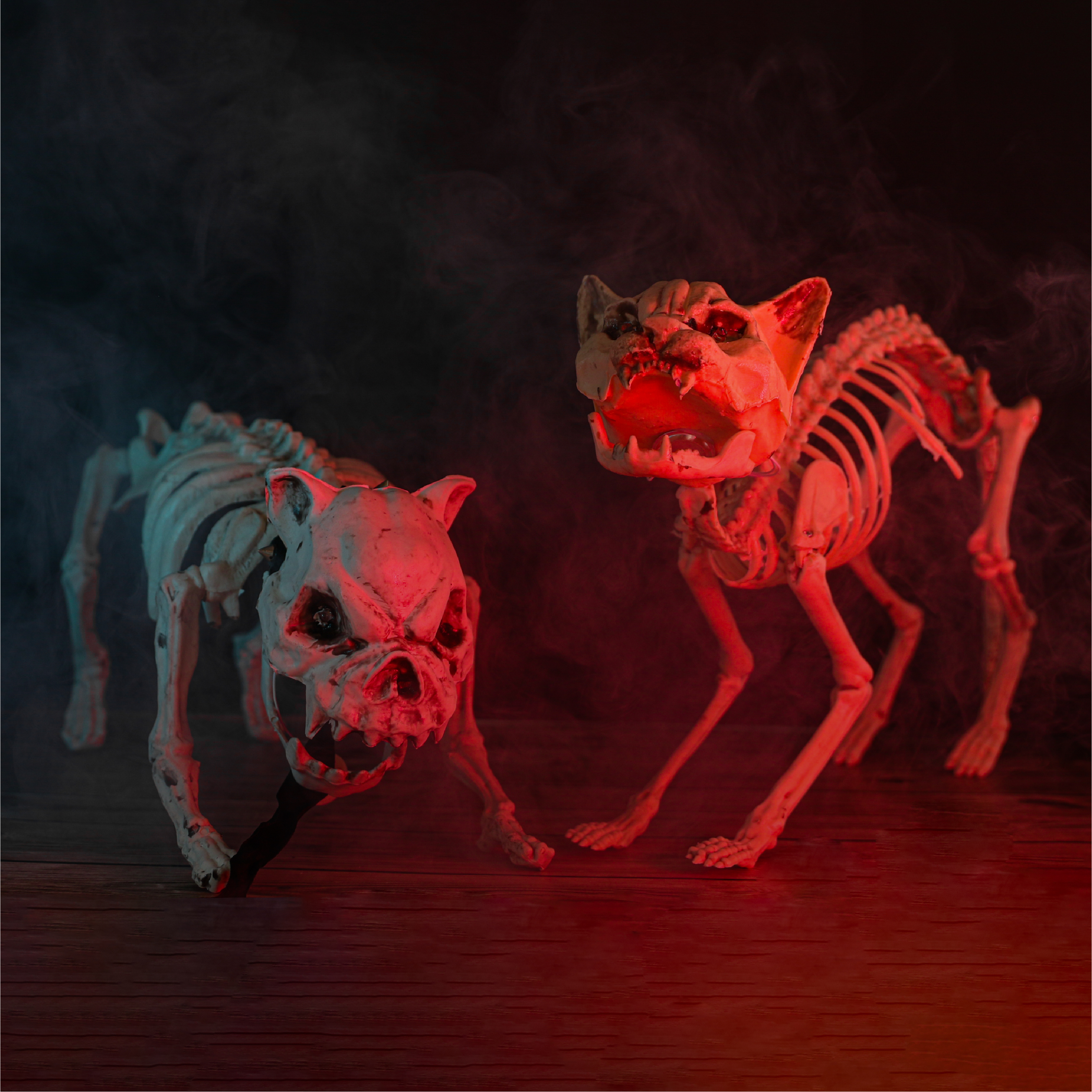 14c864f5-8272-4d28-ad11-41a2f18907a3