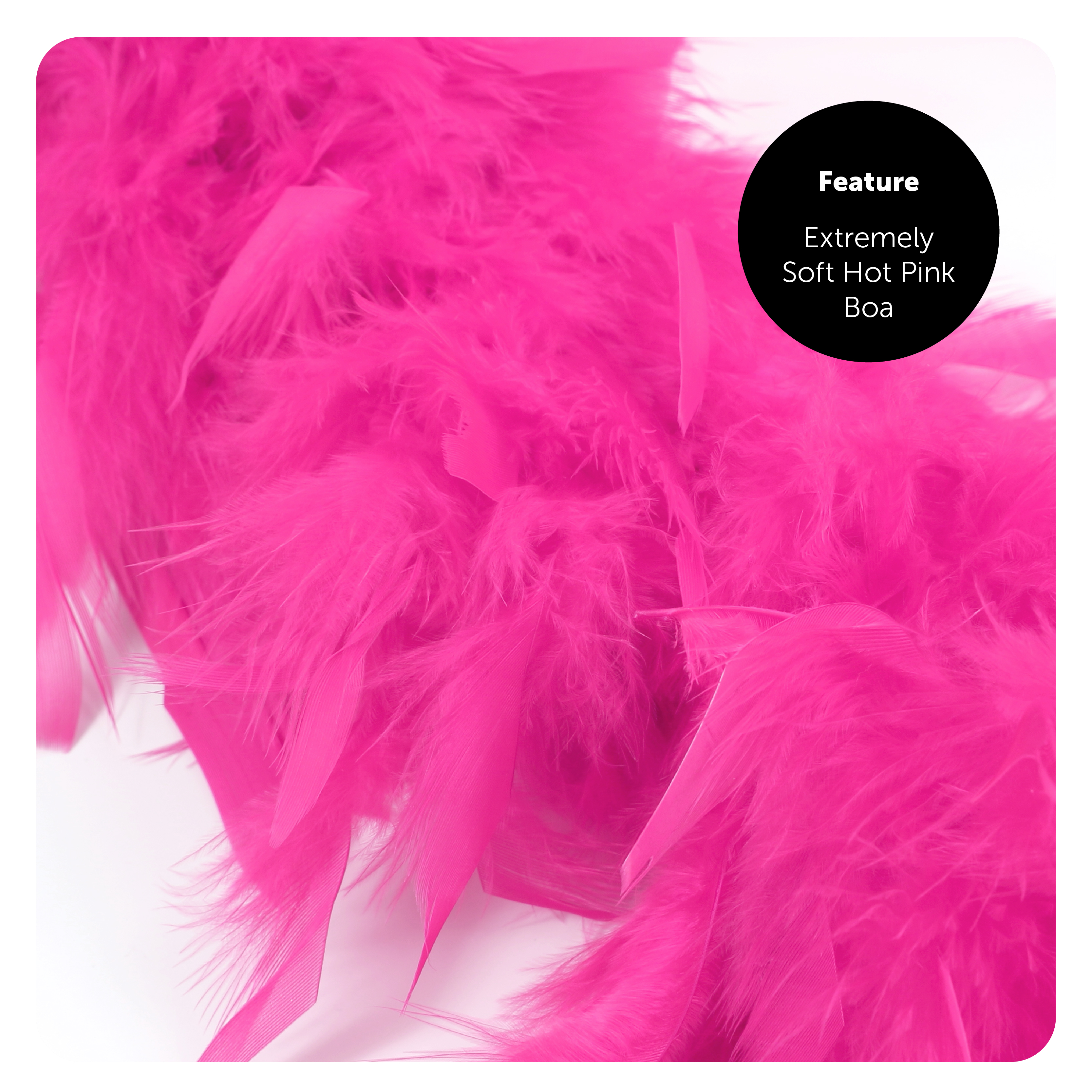 1cd71554-7949-4f8f-966e-1ae29b4bb547