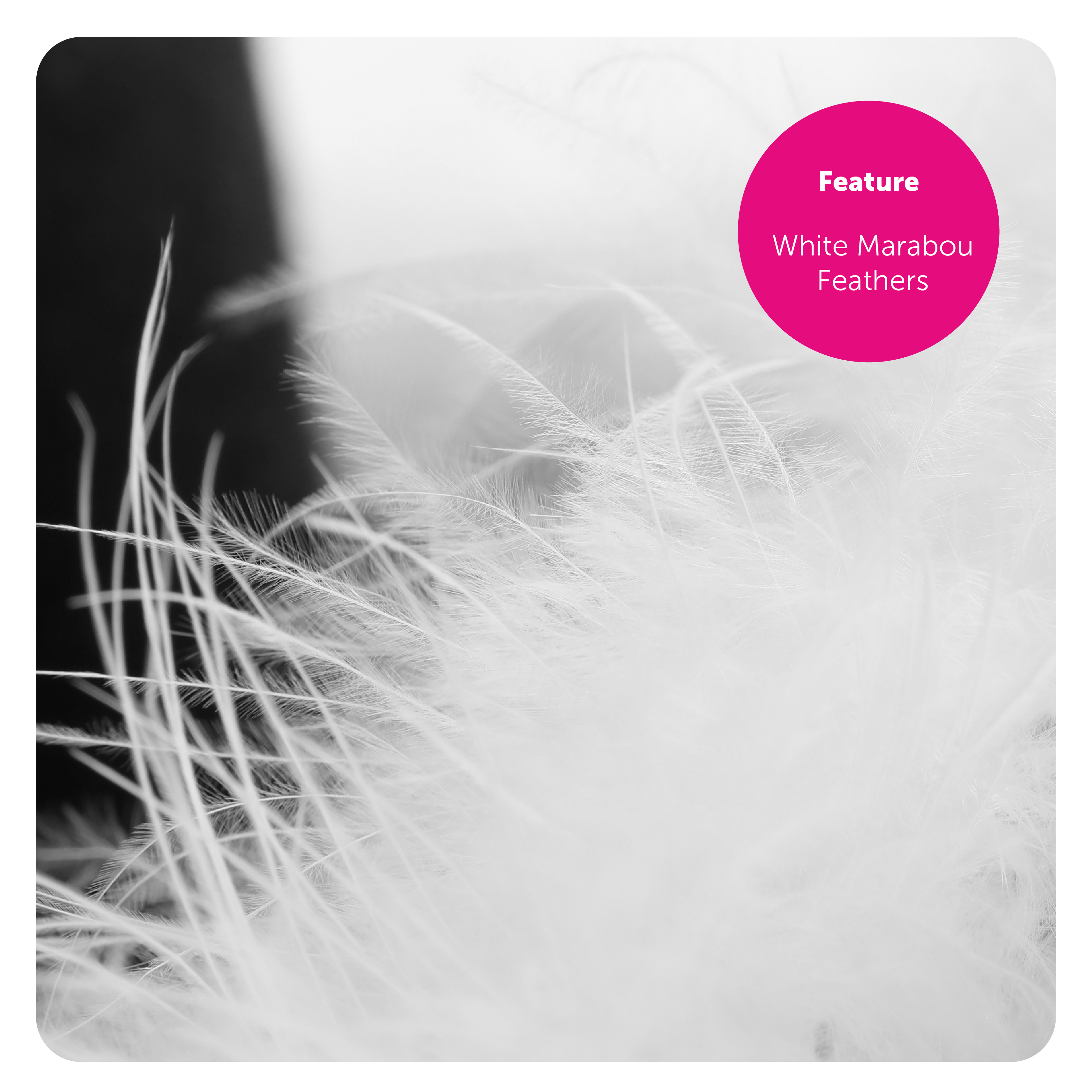 4e3431dd-e248-4575-865a-4691ccb0fcd4 (1)