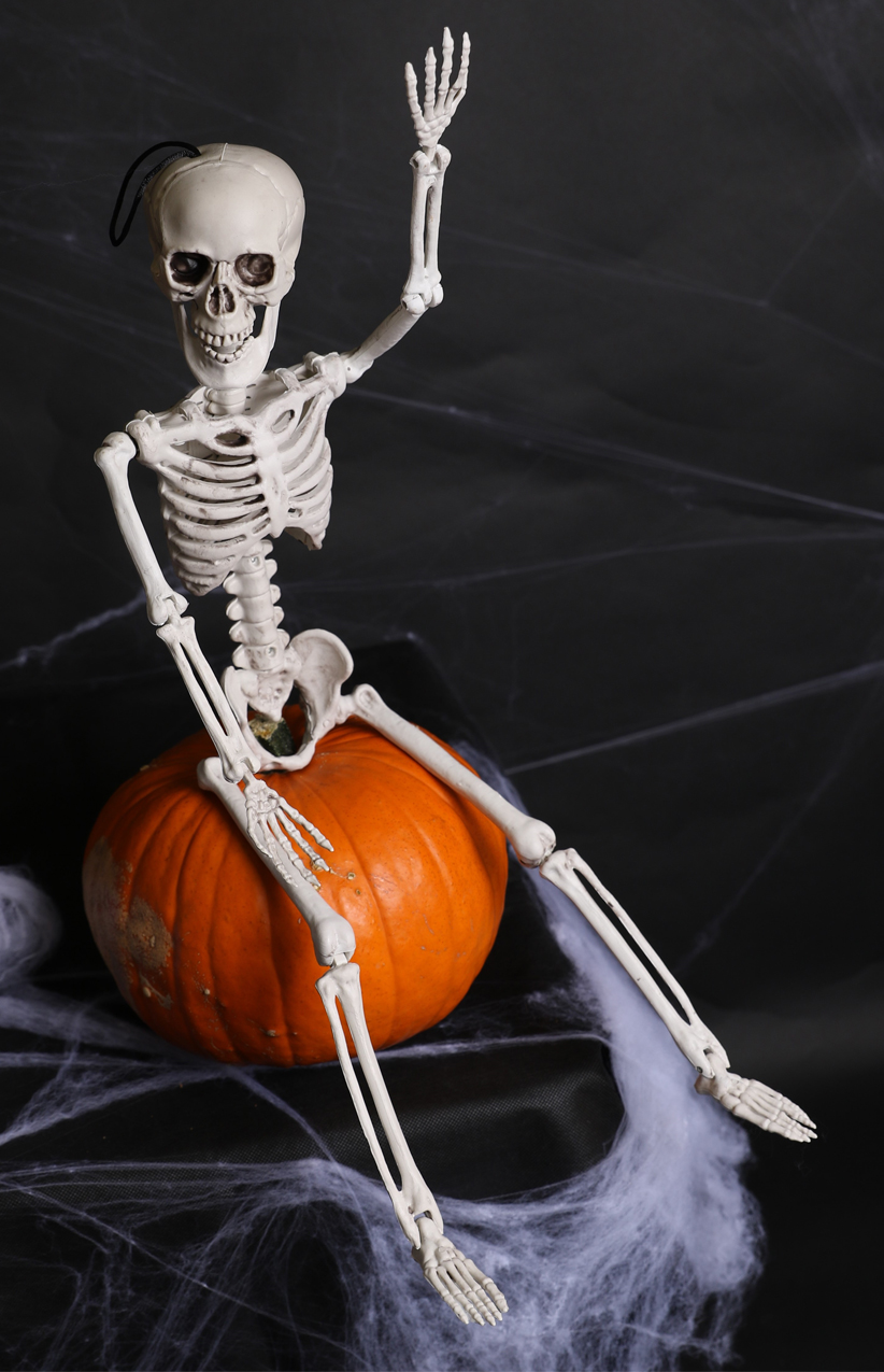 Hanging Skeleton Decoration