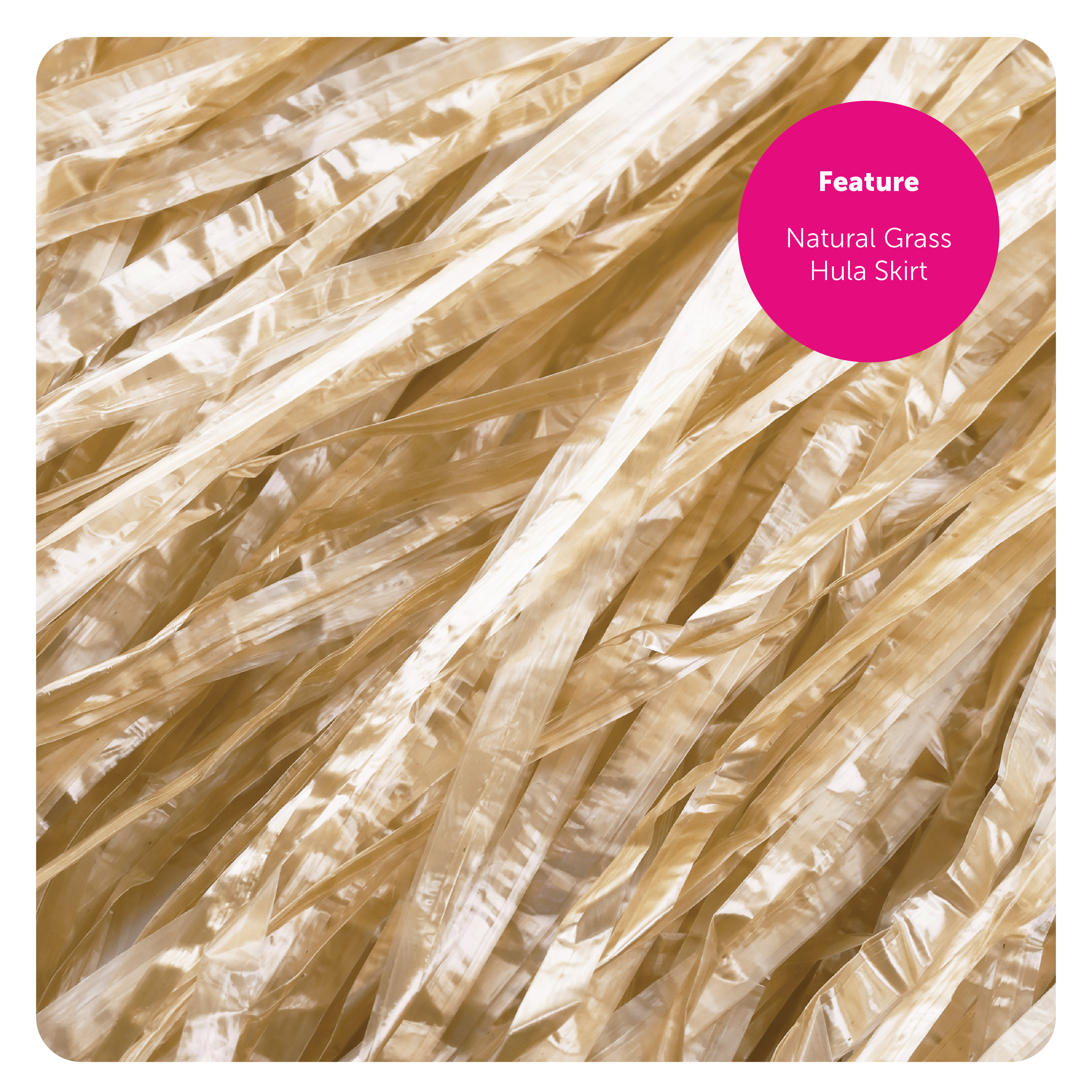 57cba36e-c140-446f-a669-79dc0f4db422 (2)