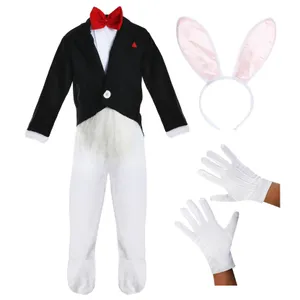 Childs Mr Rabbit Costume