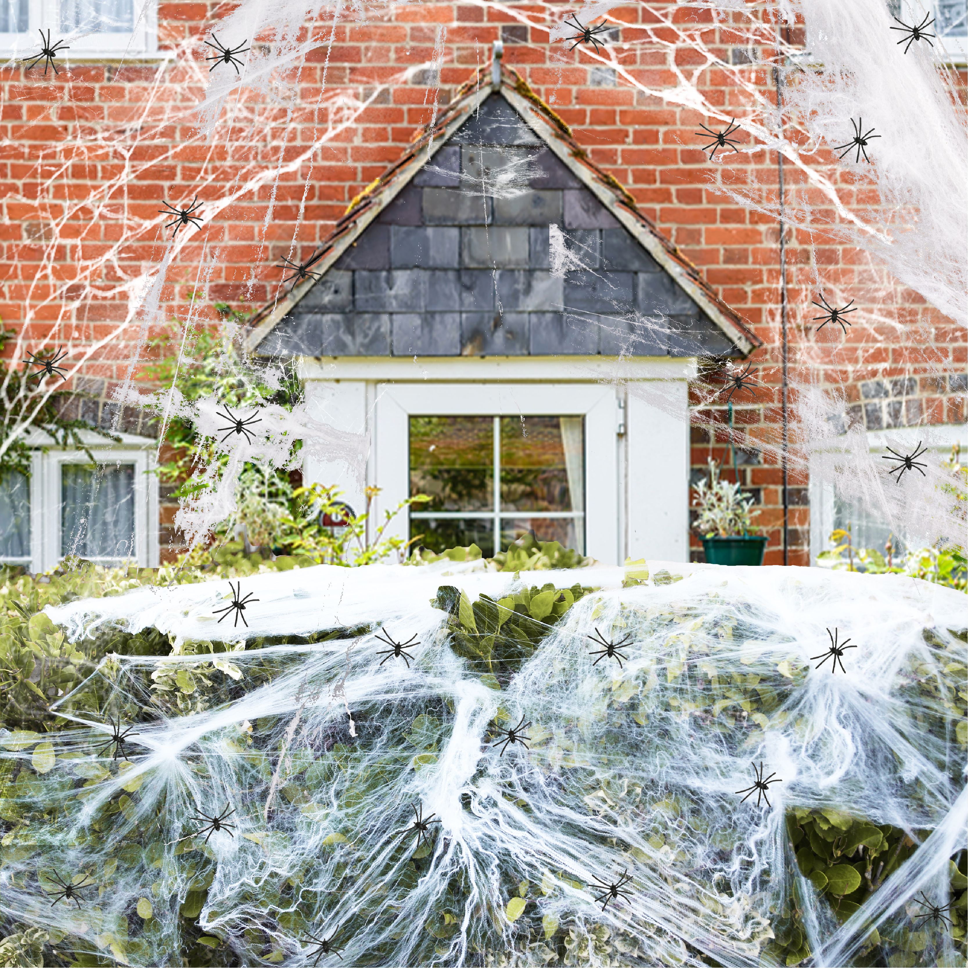 Spider Web Halloween Decoration 200g Stretchable Web