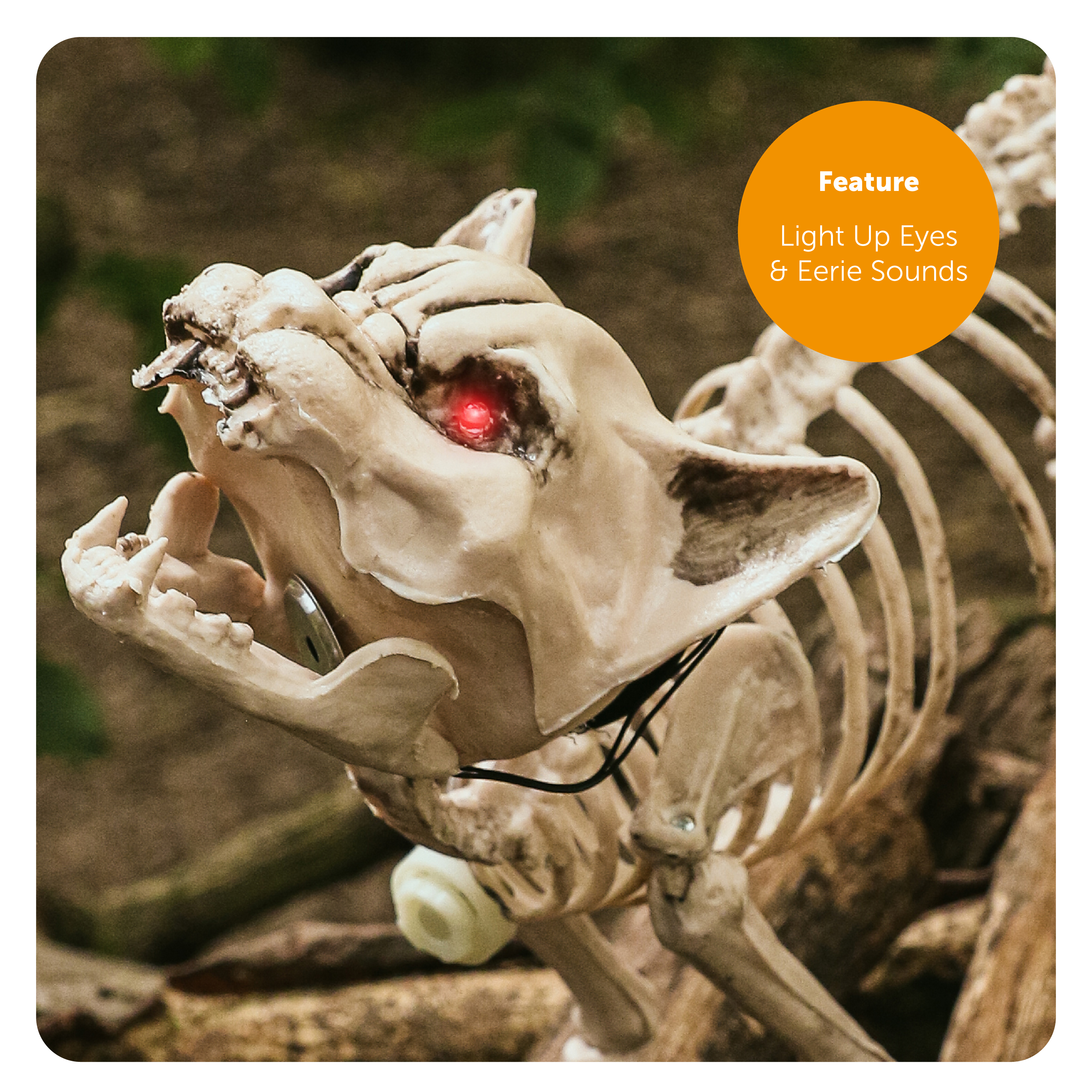 2d821c97-d5b0-464d-8139-8ccb7e9f0d13