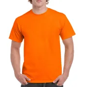 Plain