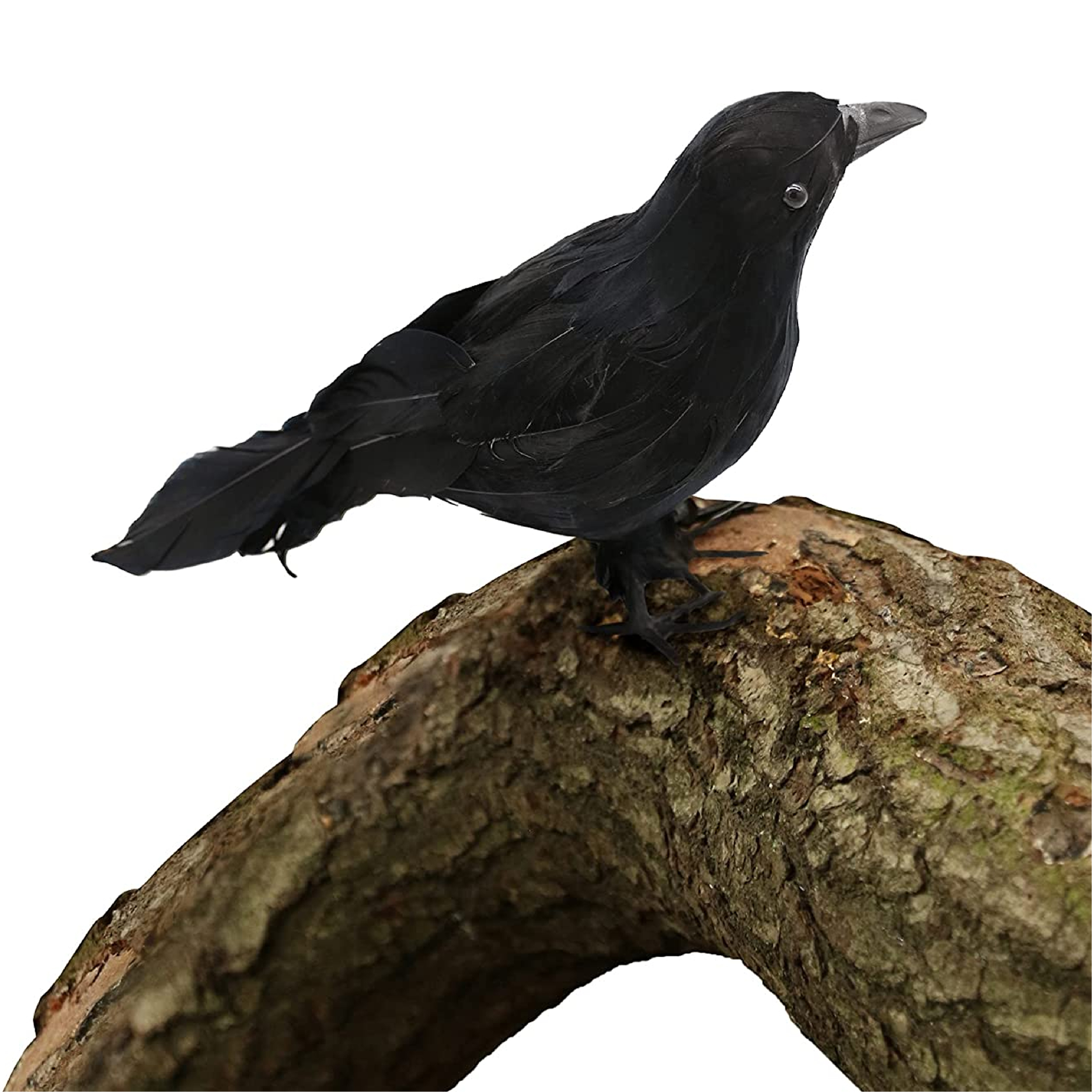Halloween Black Crow Decoration