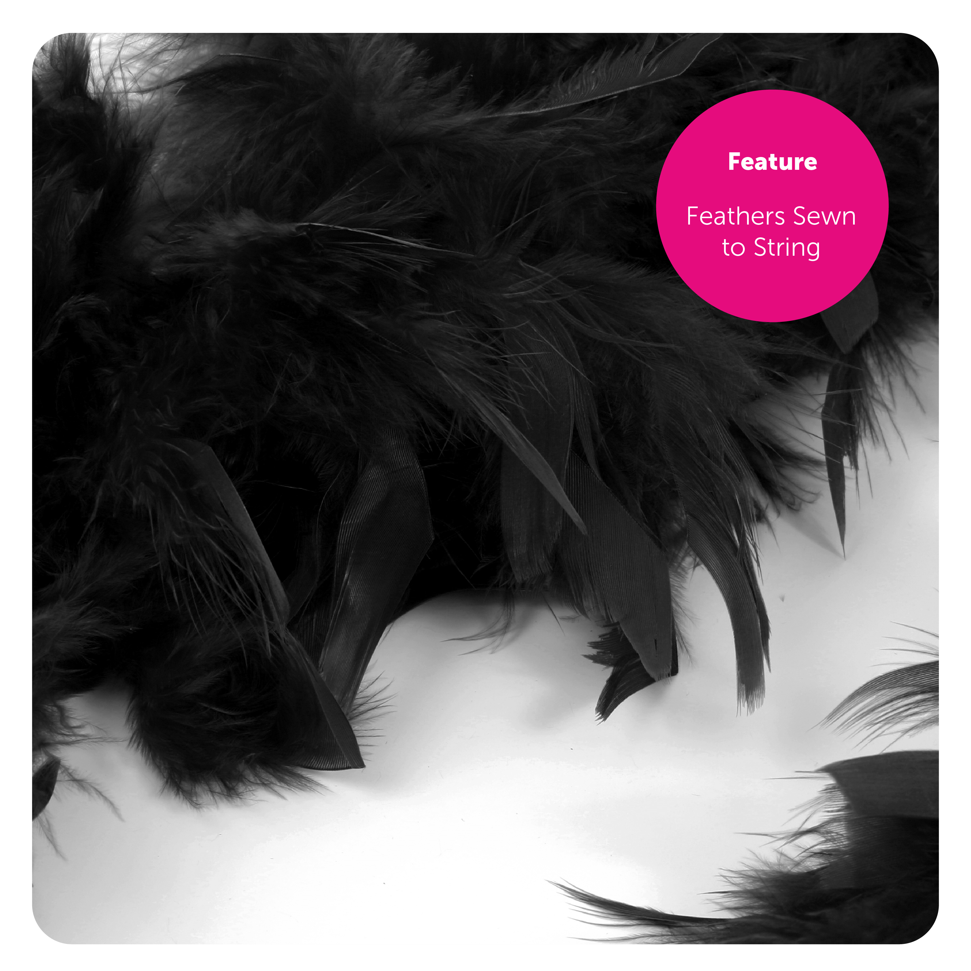 43edf903-d2c7-43cd-9247-7f01d53c759c