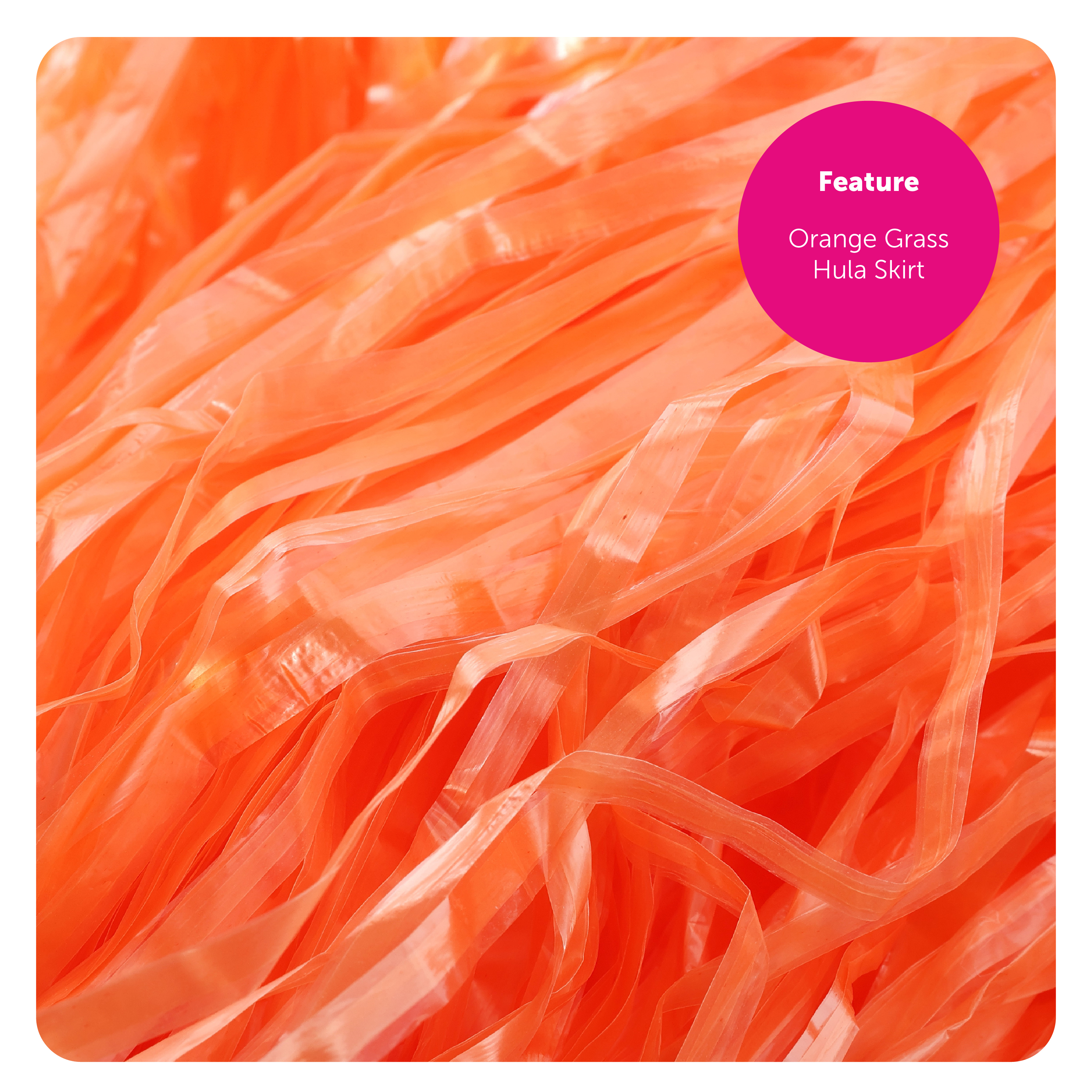 f1b0331c-5315-475d-9399-648f304f2fdf (1)