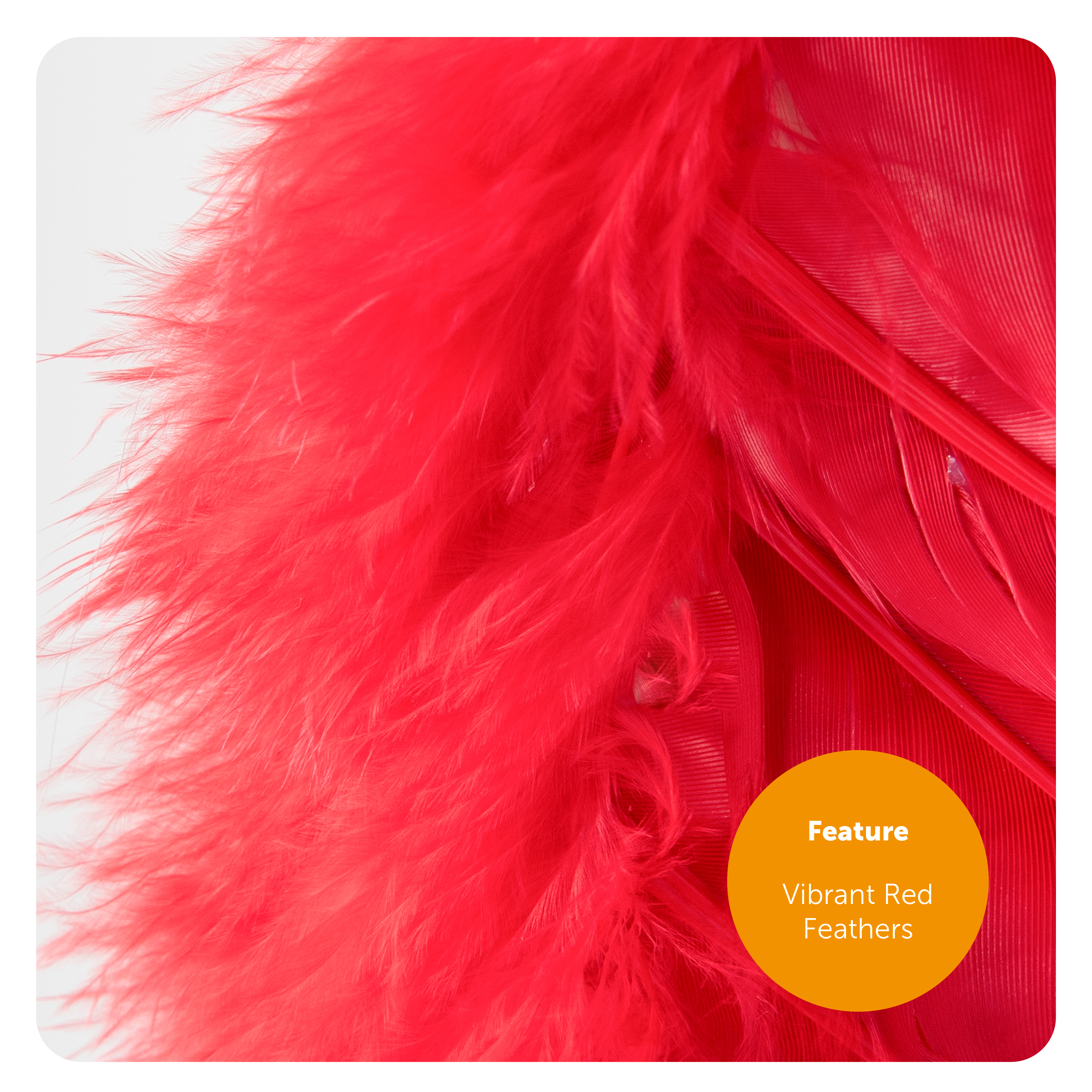 cb1930a8-5234-4ebc-9919-b58178eb007f