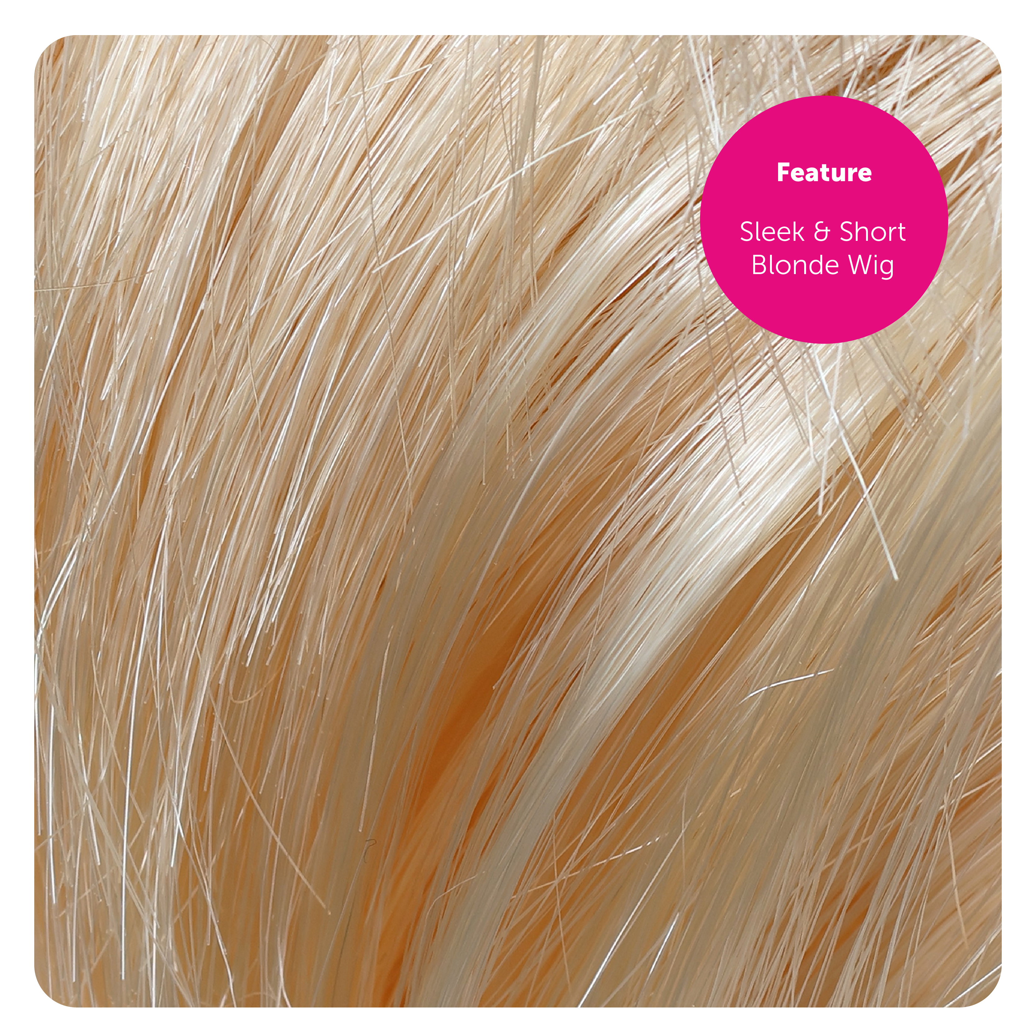 58461eb7-df16-4434-b6f9-98d7c1776ad8 (1)