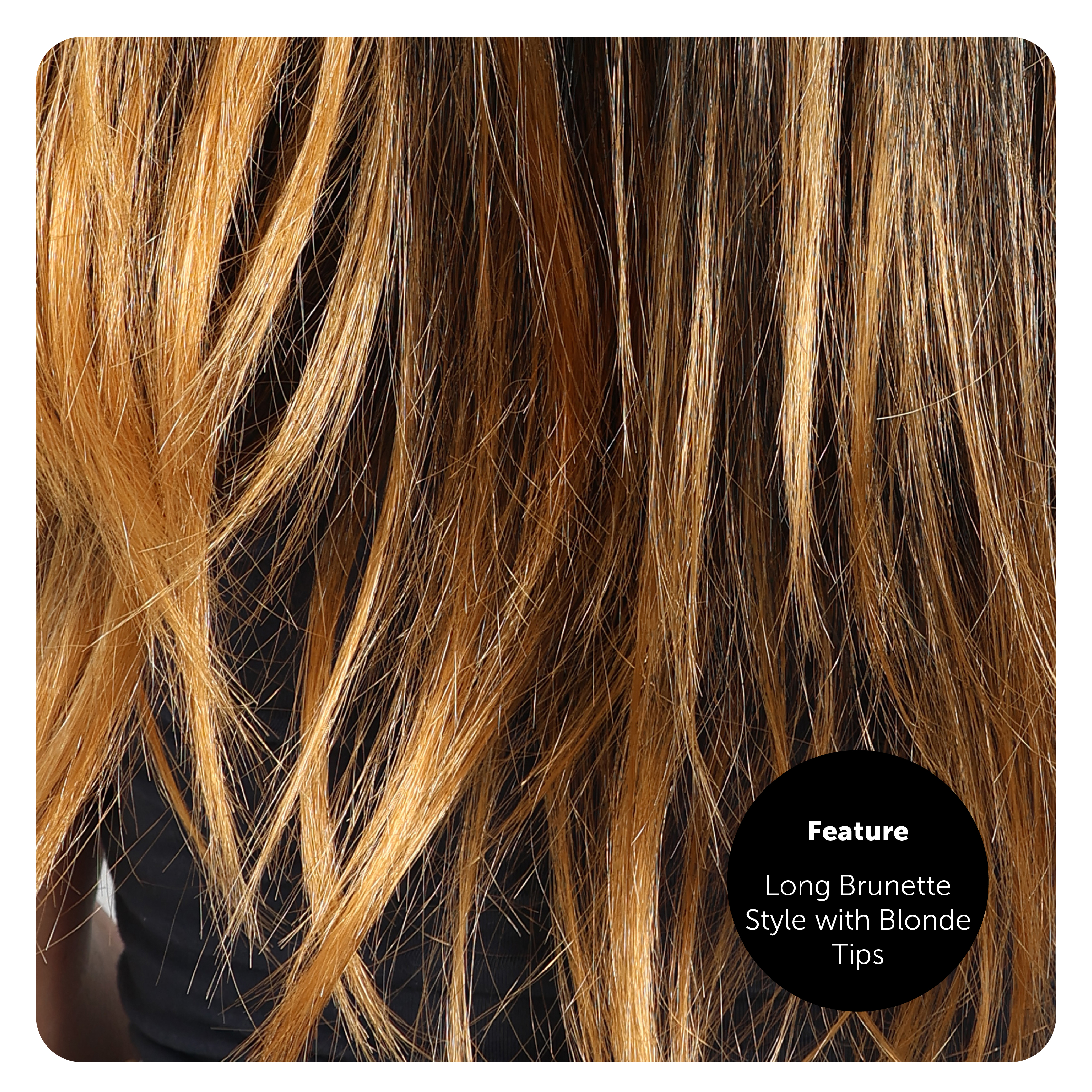 5a58864c-6aca-41dd-8492-01bccde83830