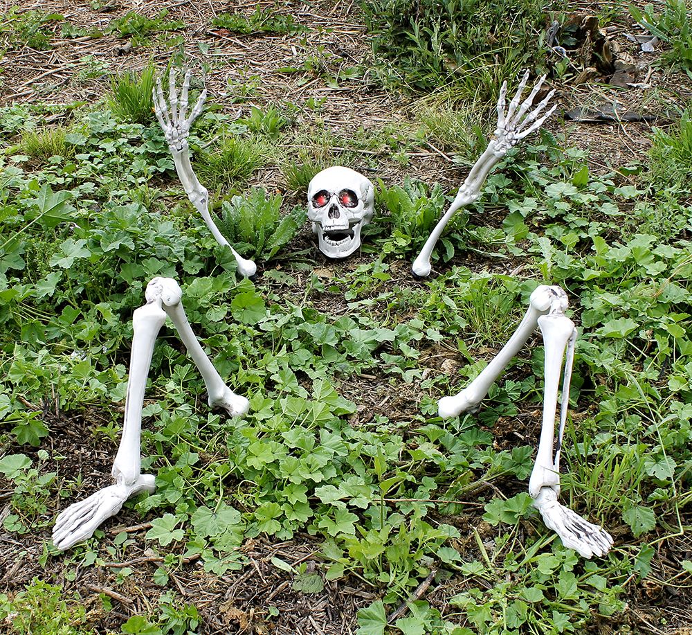 9690fea5-d8e2-46c5-b741-95fa6a3454d5